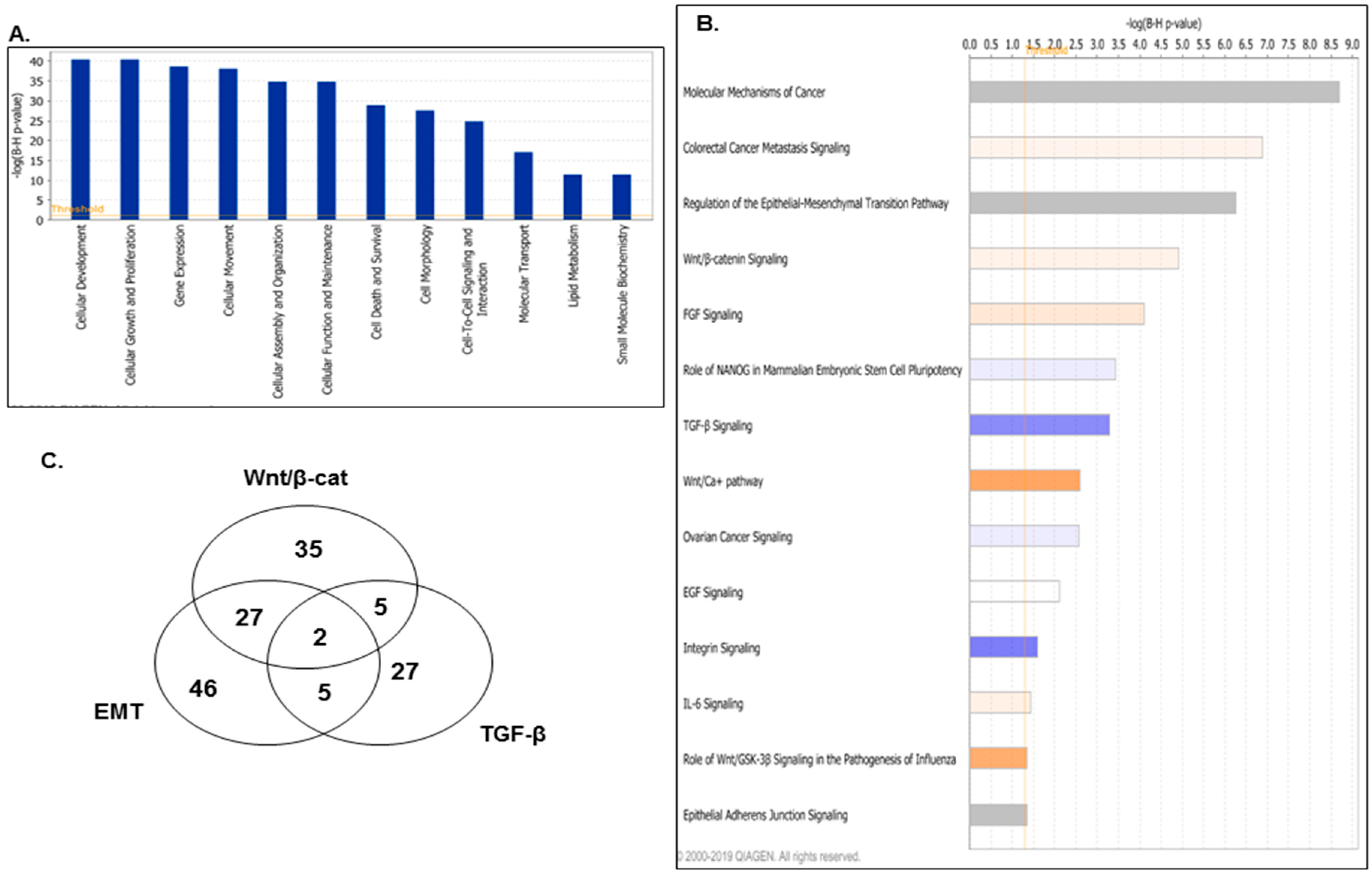 Ijms 21 01848 g003 Ijms 21 01848 g003