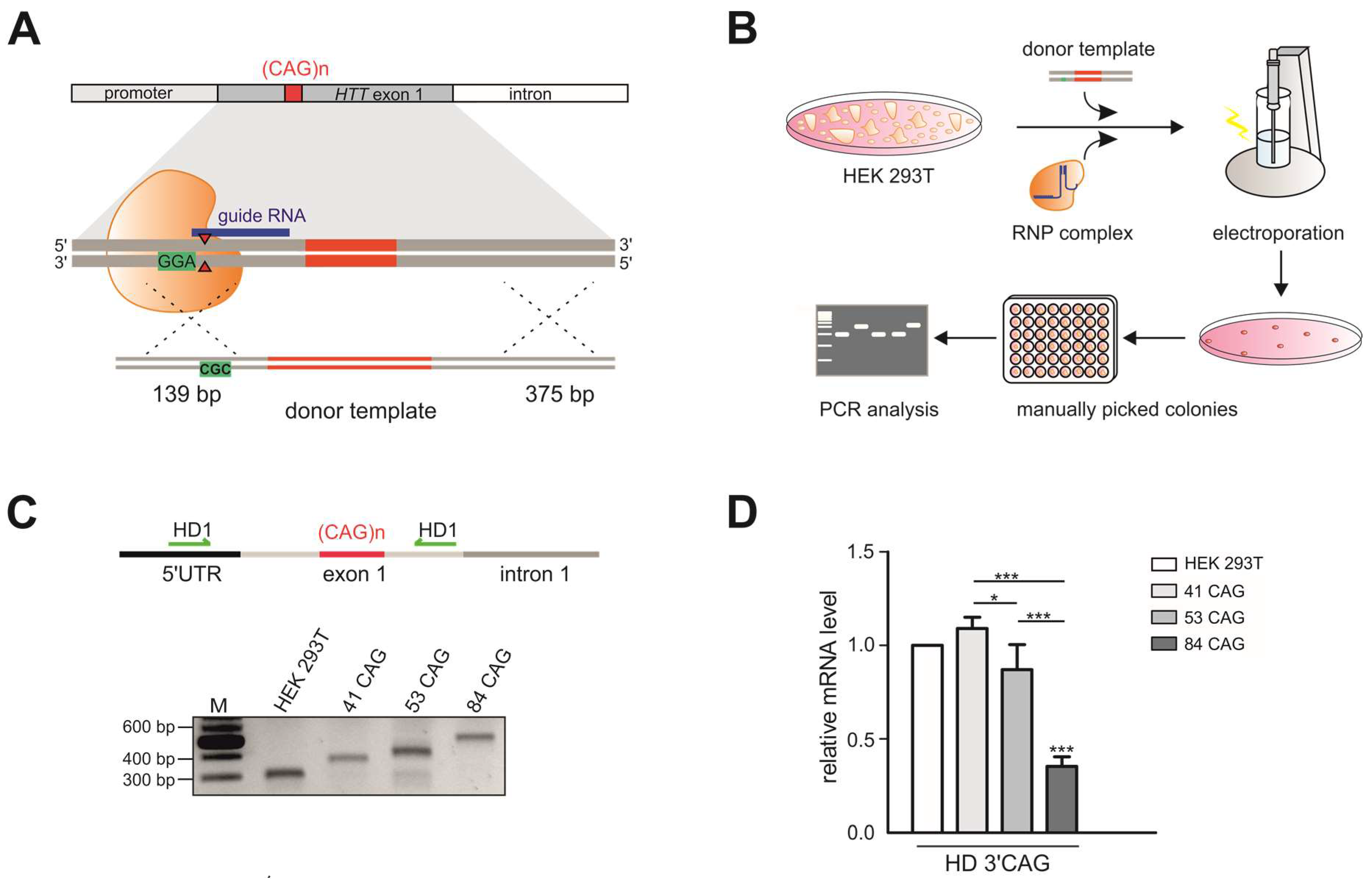 Ijms 21 01854 g001a Ijms 21 01854 g001a