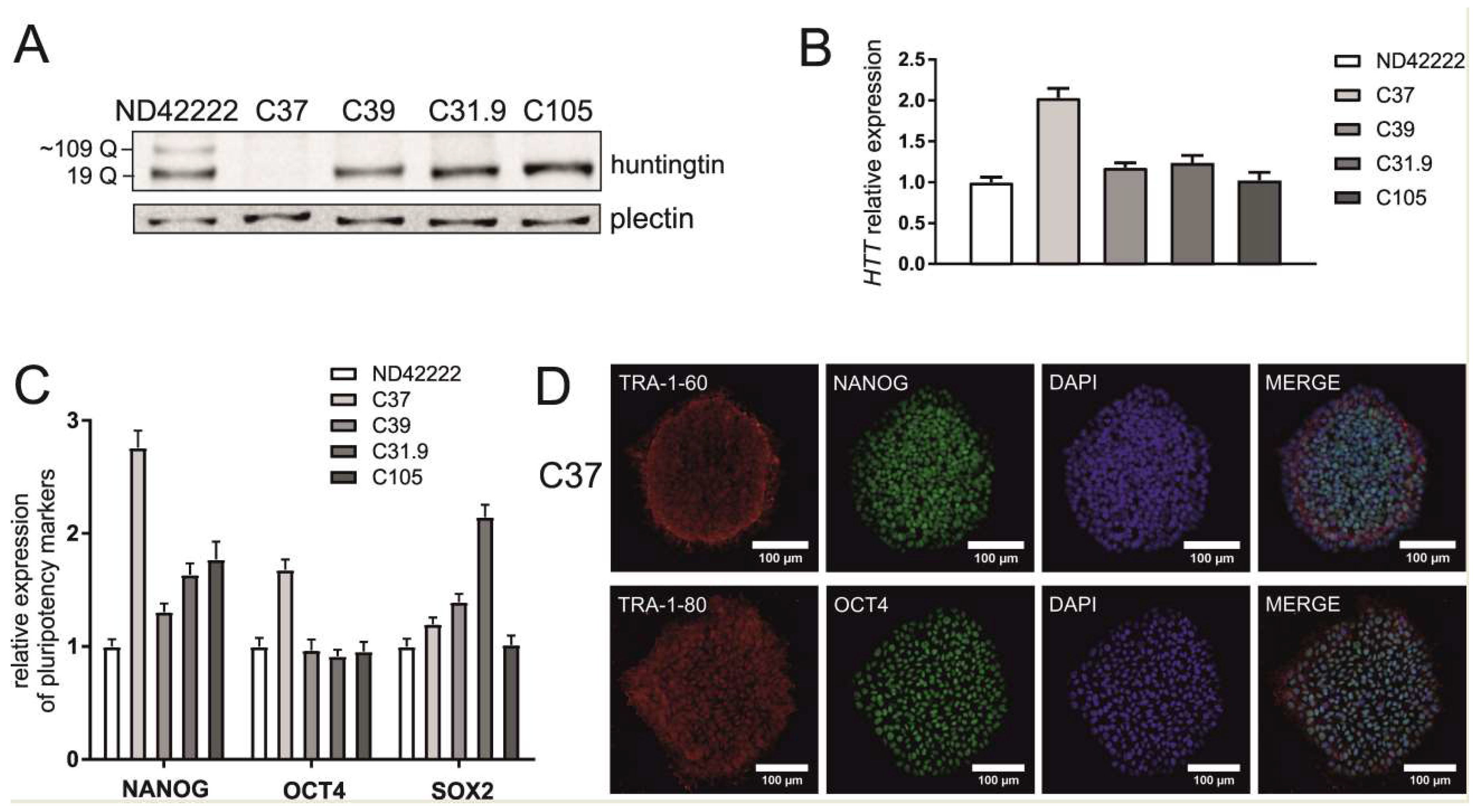 Ijms 21 01854 g002 Ijms 21 01854 g002