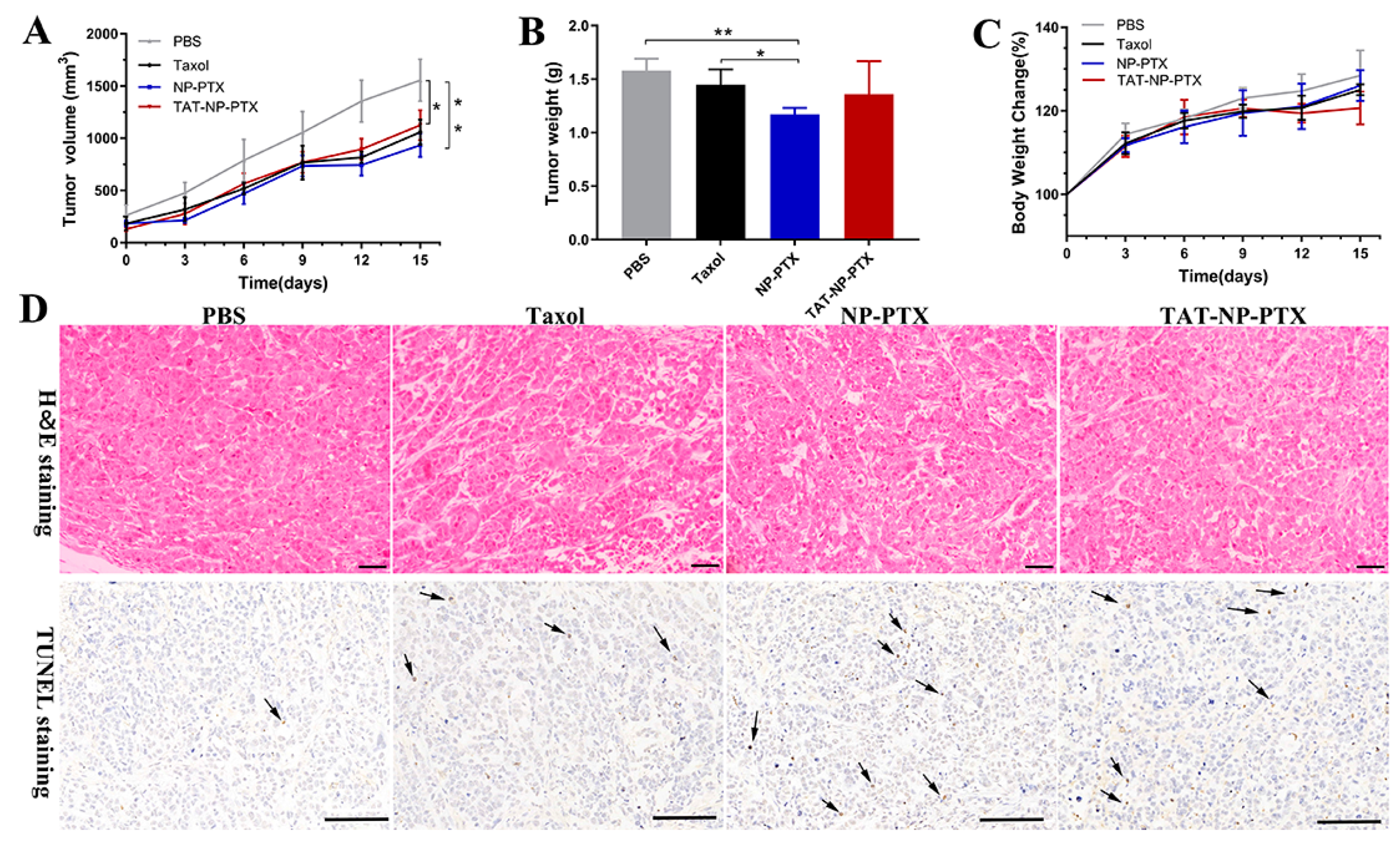 Ijms 21 01856 g005 Ijms 21 01856 g005