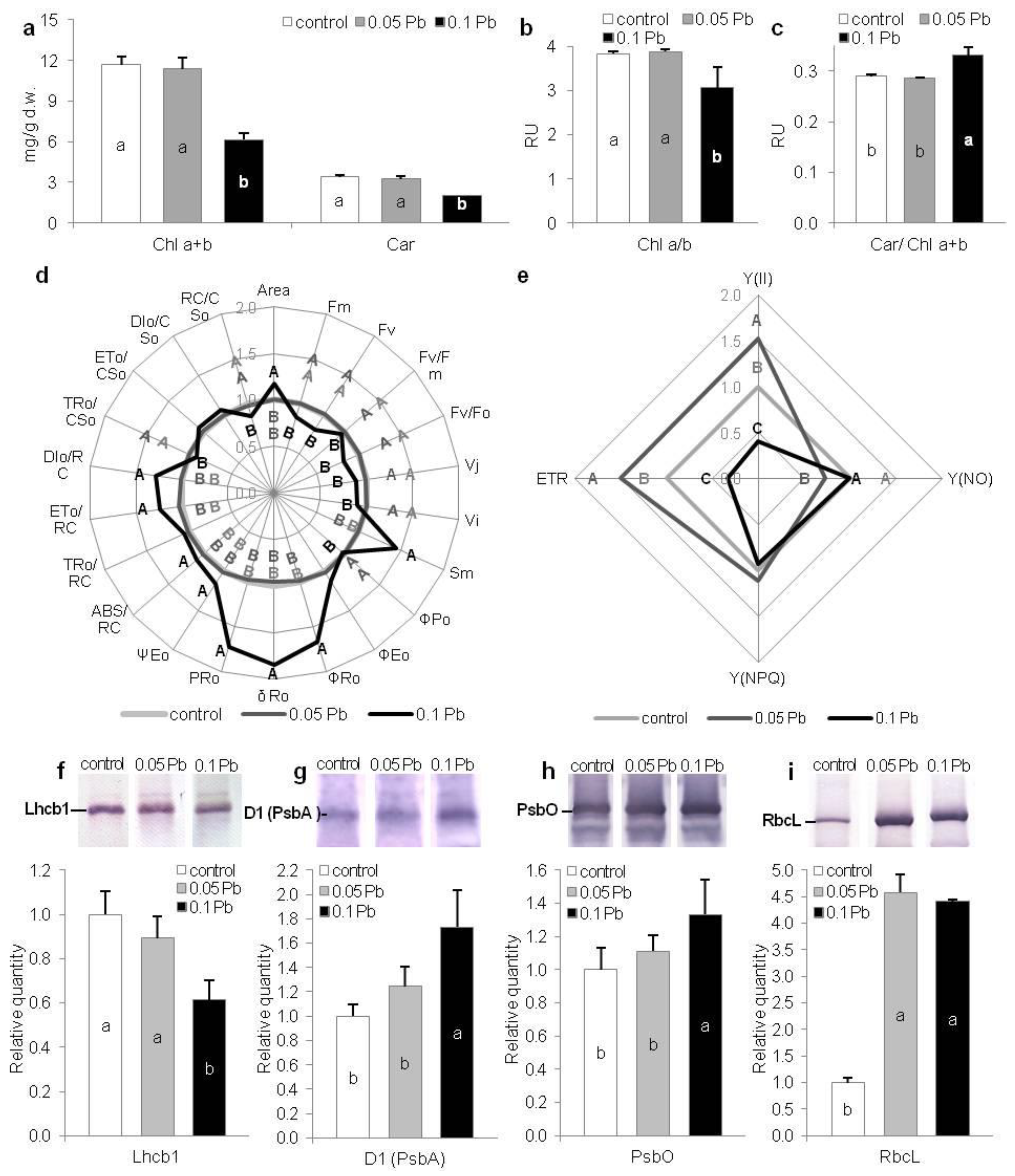 Ijms 21 01866 g003 Ijms 21 01866 g003