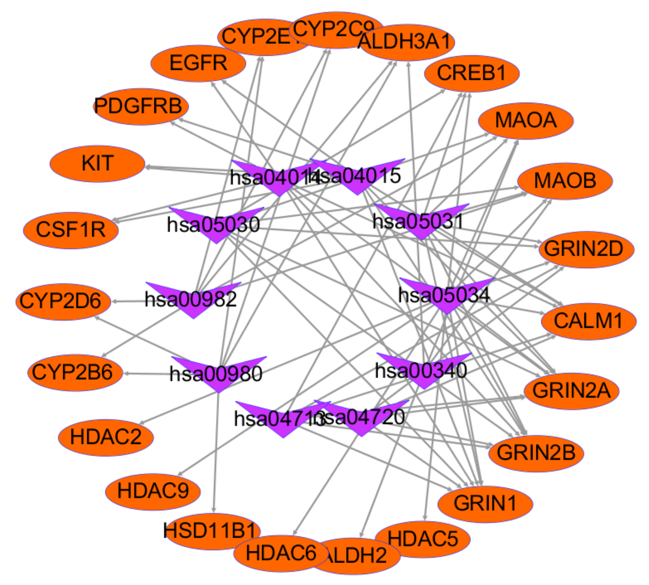 Ijms 21 01868 g012 Ijms 21 01868 g012