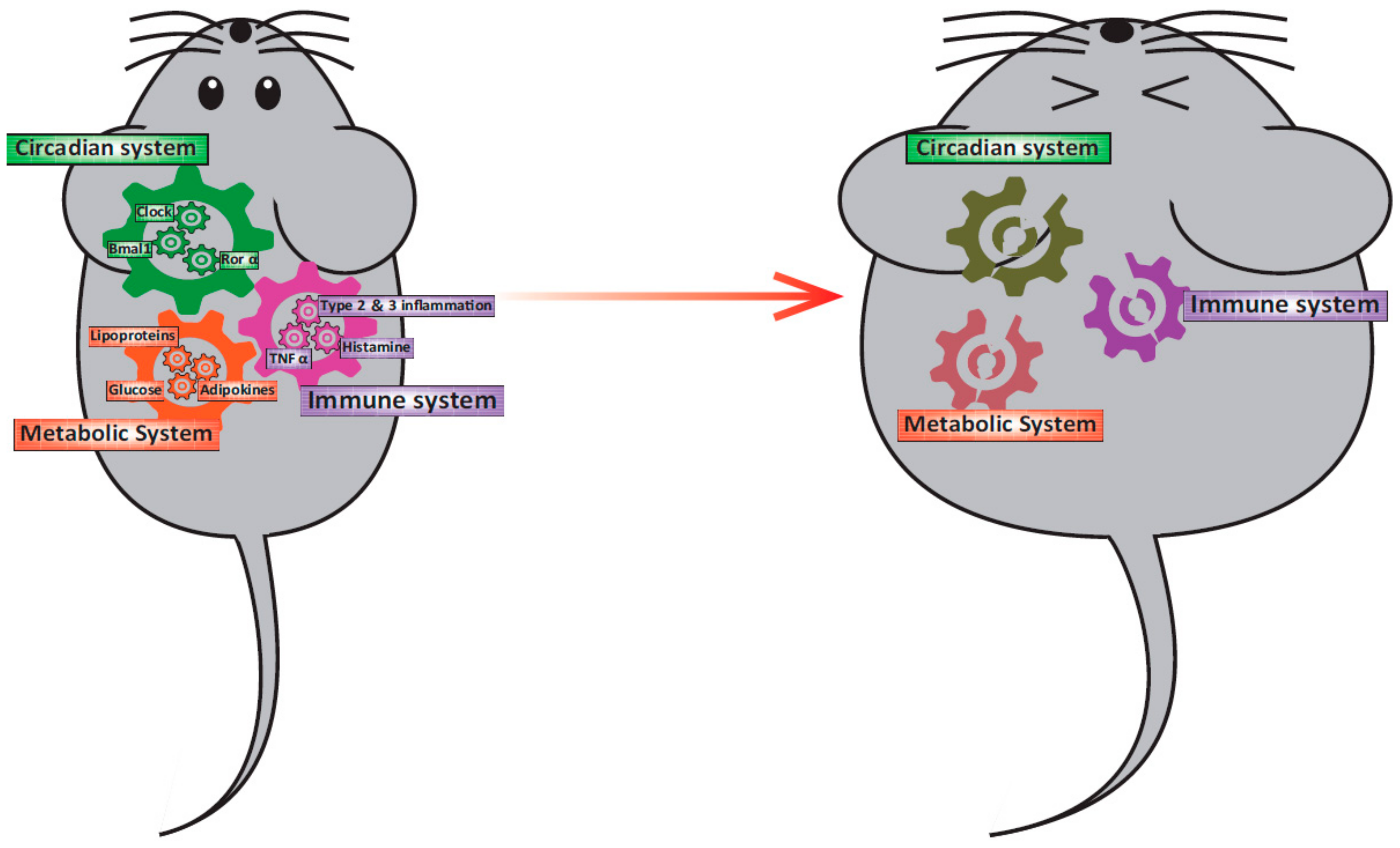 Ijms 21 01884 g001 Ijms 21 01884 g001