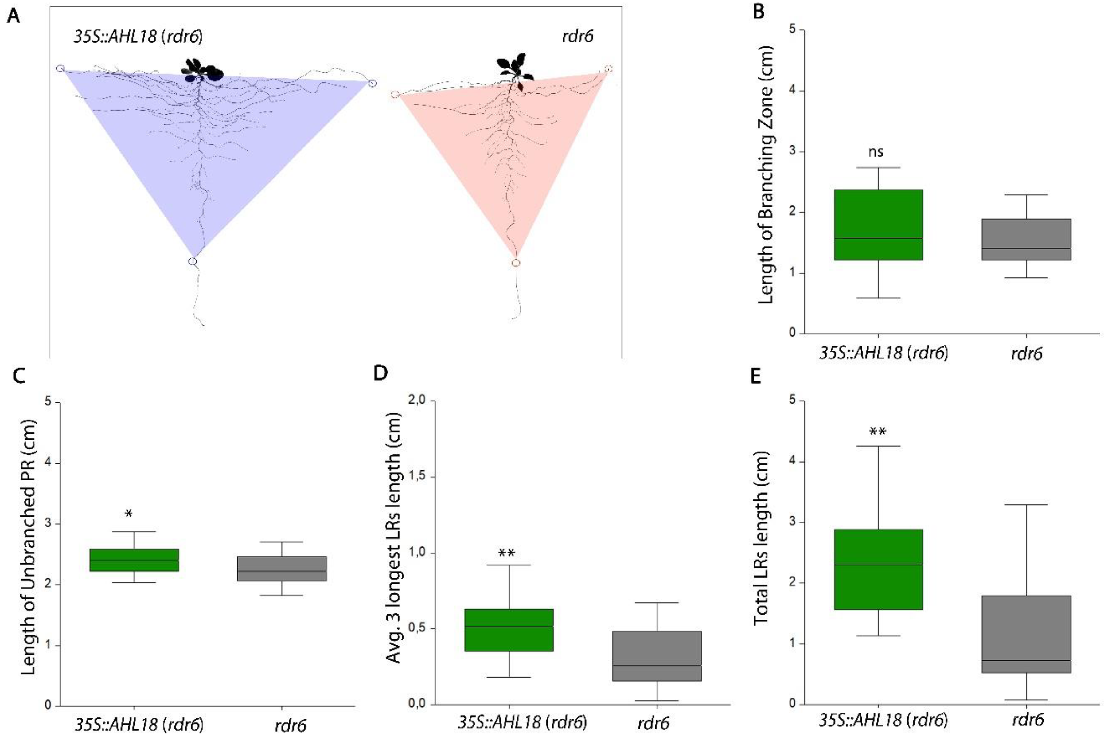Ijms 21 01886 g004 Ijms 21 01886 g004