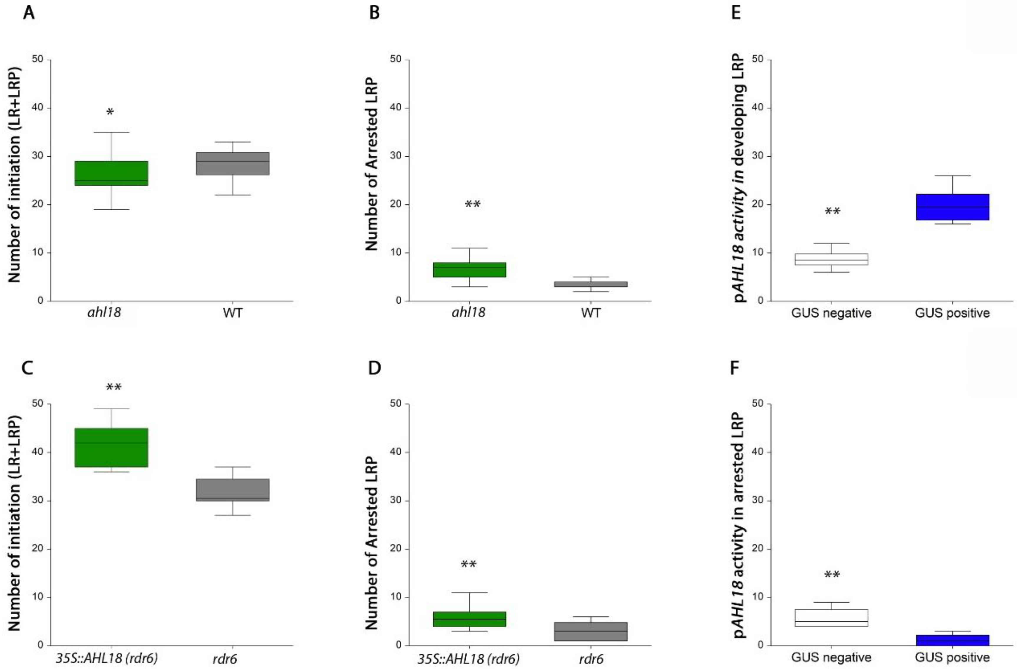 Ijms 21 01886 g007 Ijms 21 01886 g007