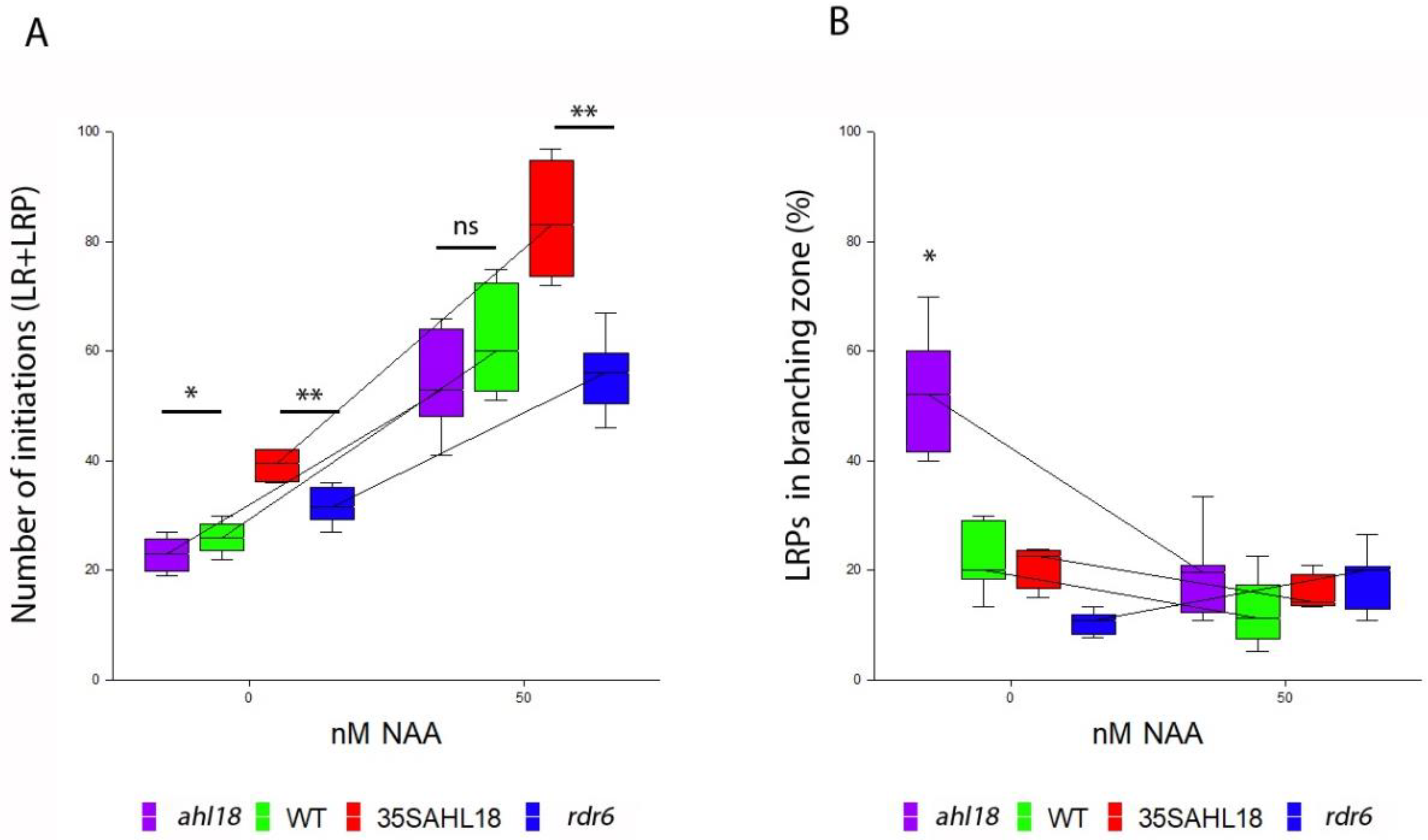 Ijms 21 01886 g009 Ijms 21 01886 g009