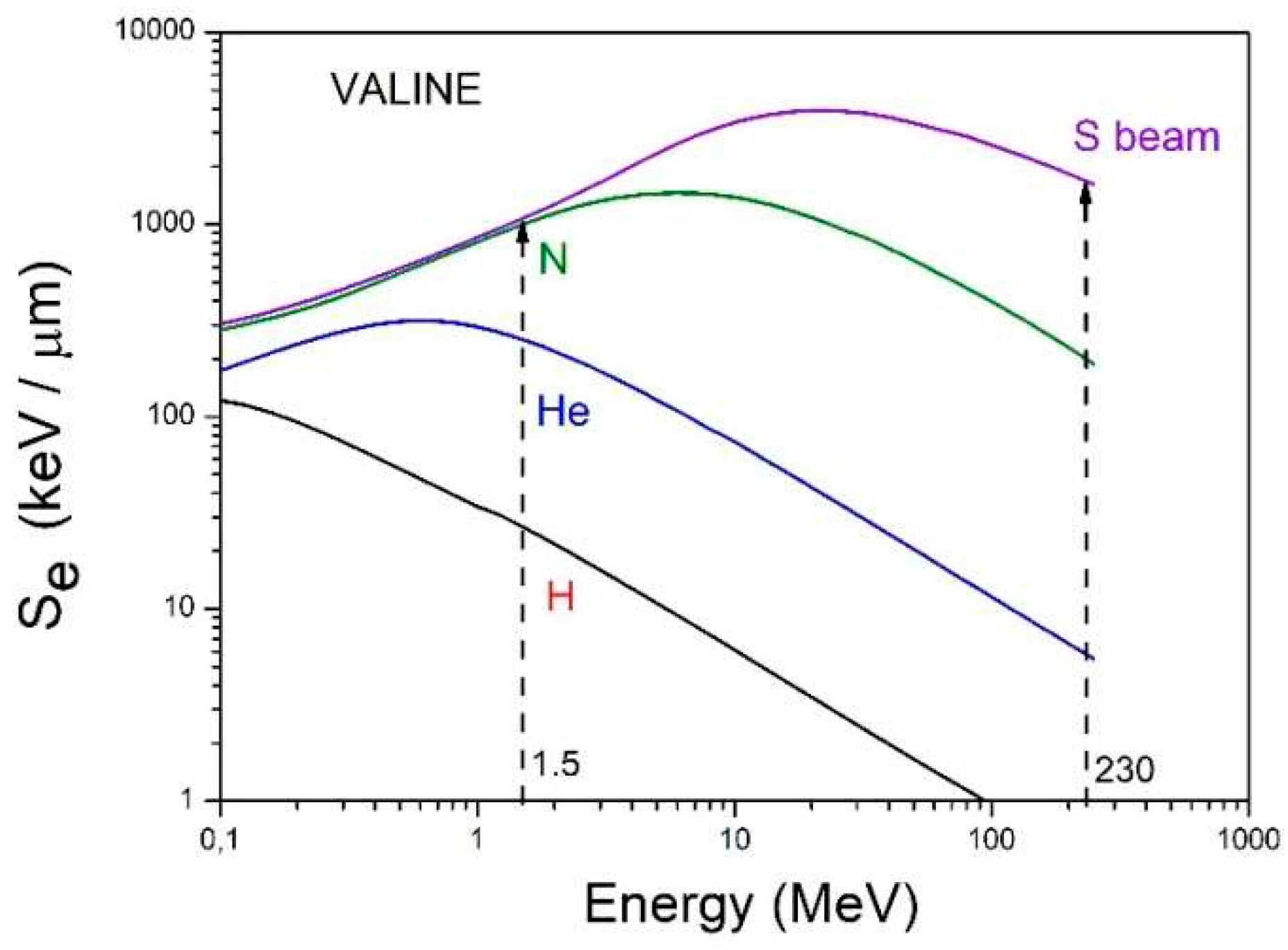 Ijms 21 01893 g011 Ijms 21 01893 g011