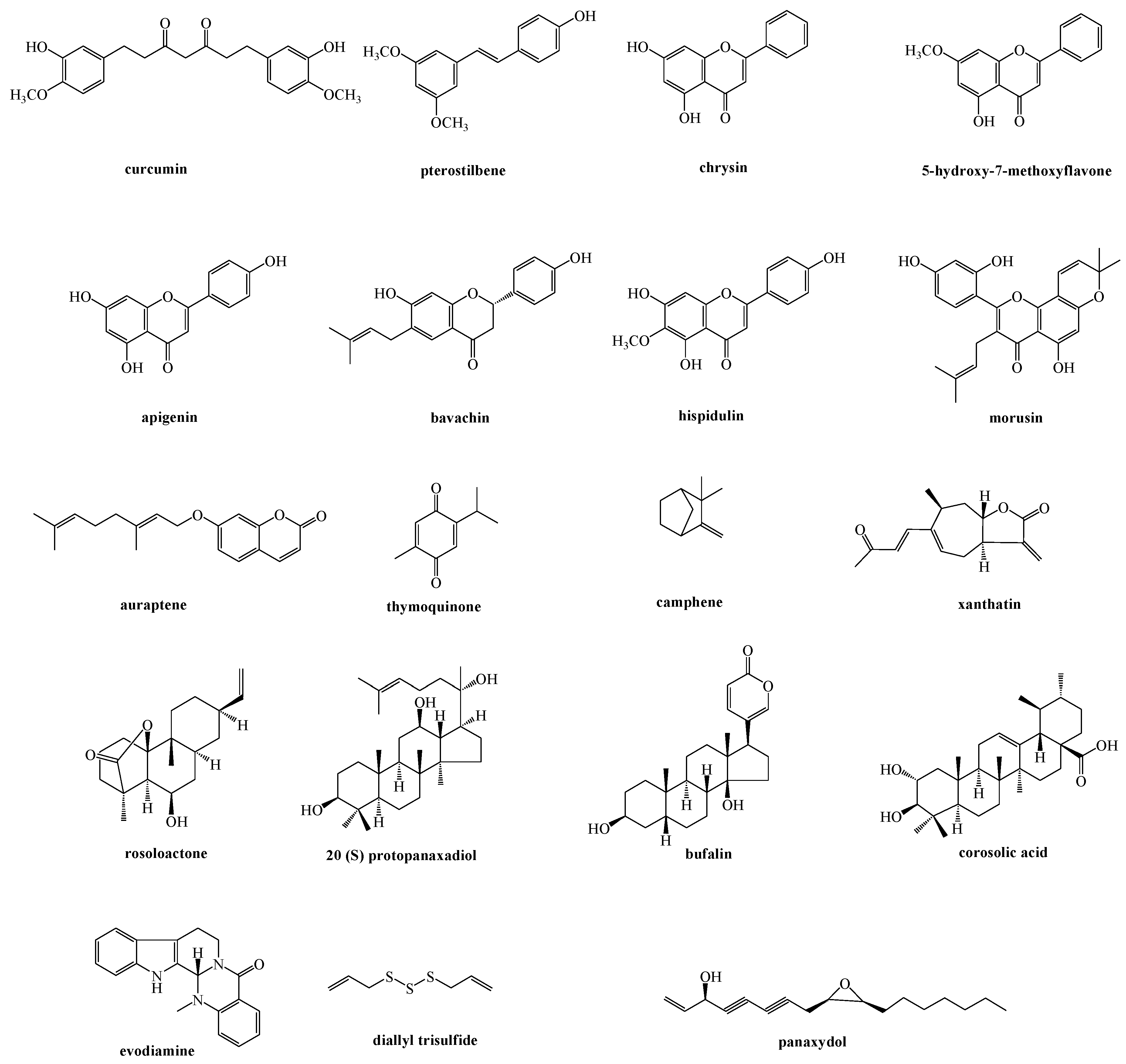 Ijms 21 01905 g002 Ijms 21 01905 g002