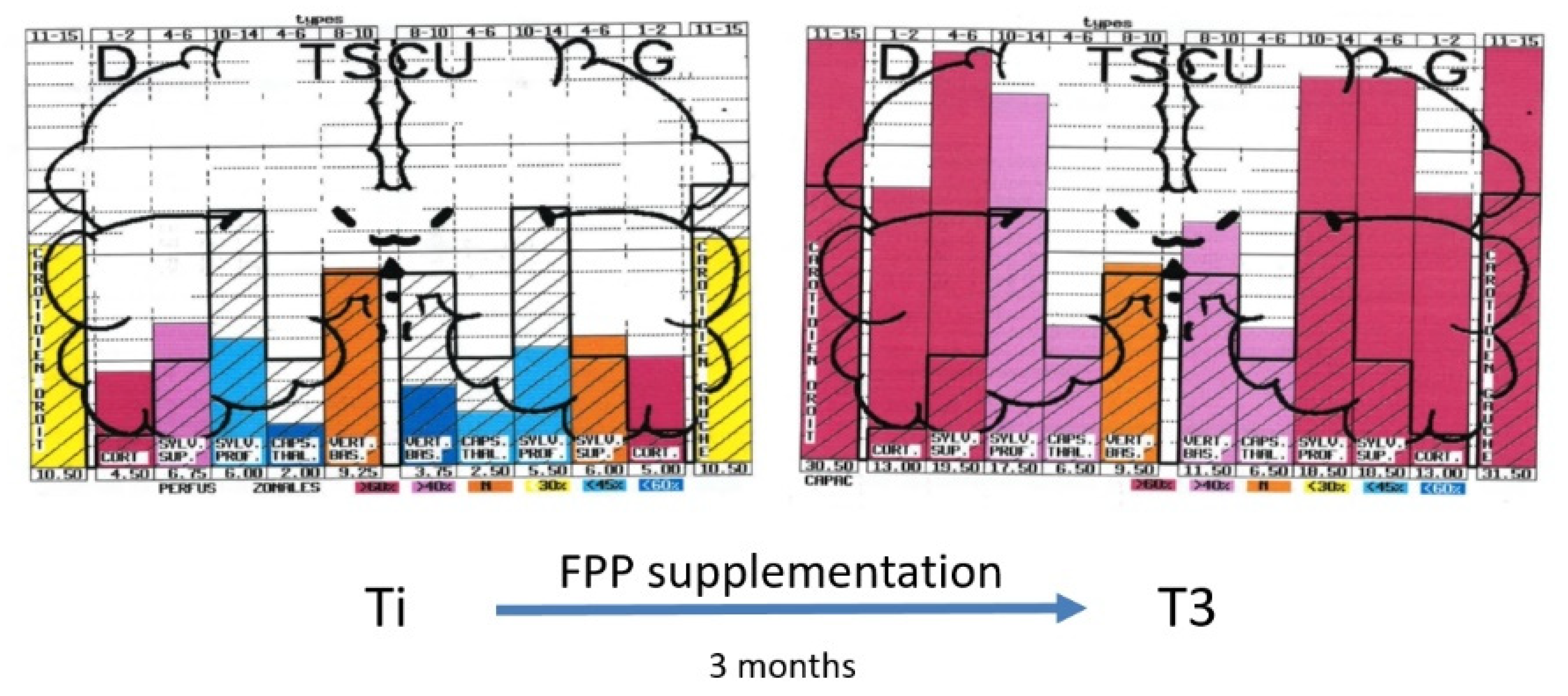 Ijms 21 01915 g005 Ijms 21 01915 g005