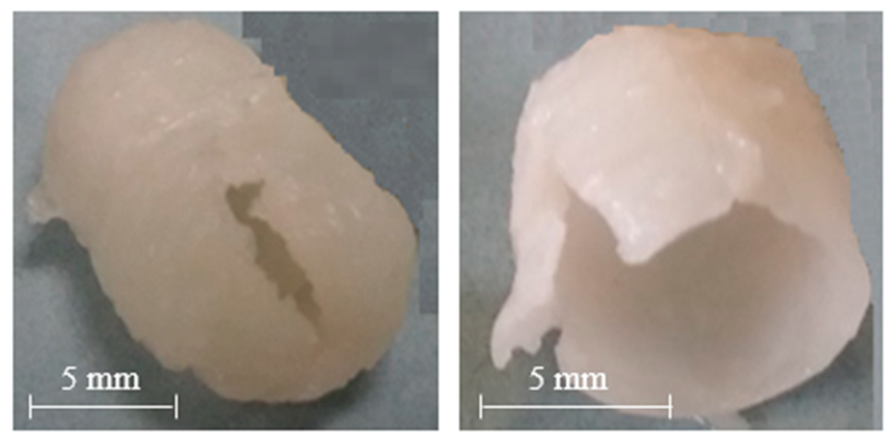 Ijms 21 01917 g006 Ijms 21 01917 g006