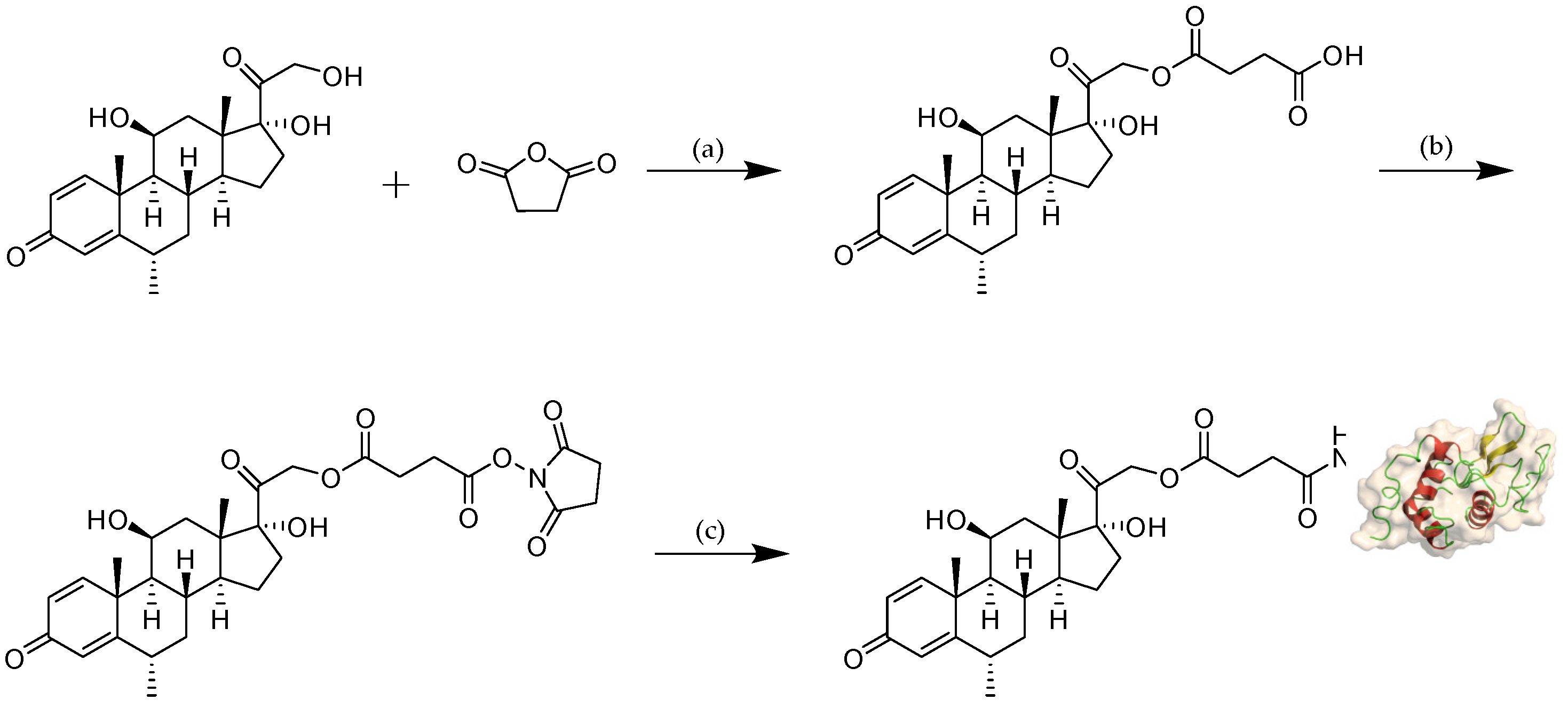 Ijms 21 01922 g002 Ijms 21 01922 g002