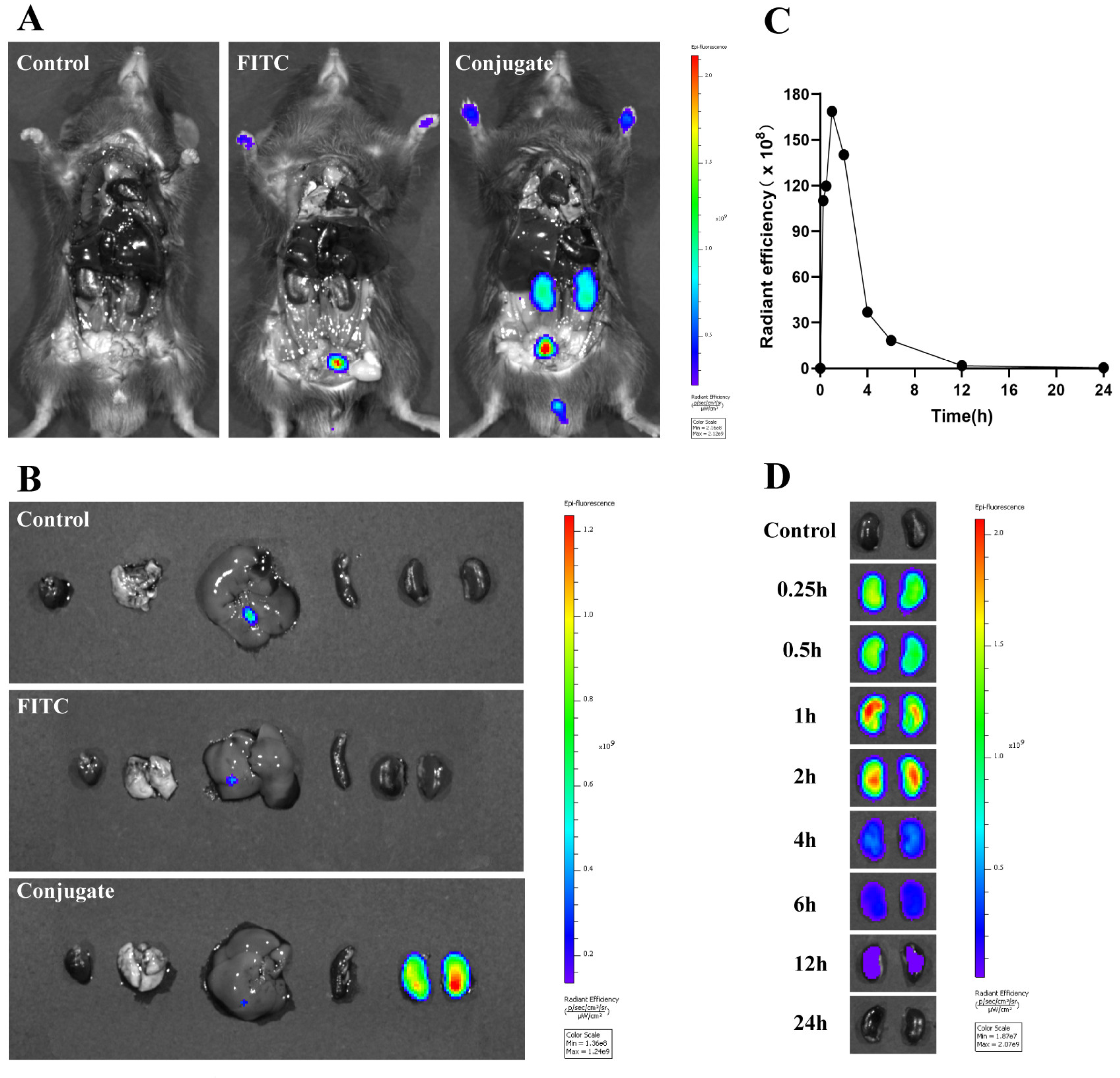 Ijms 21 01922 g009 Ijms 21 01922 g009