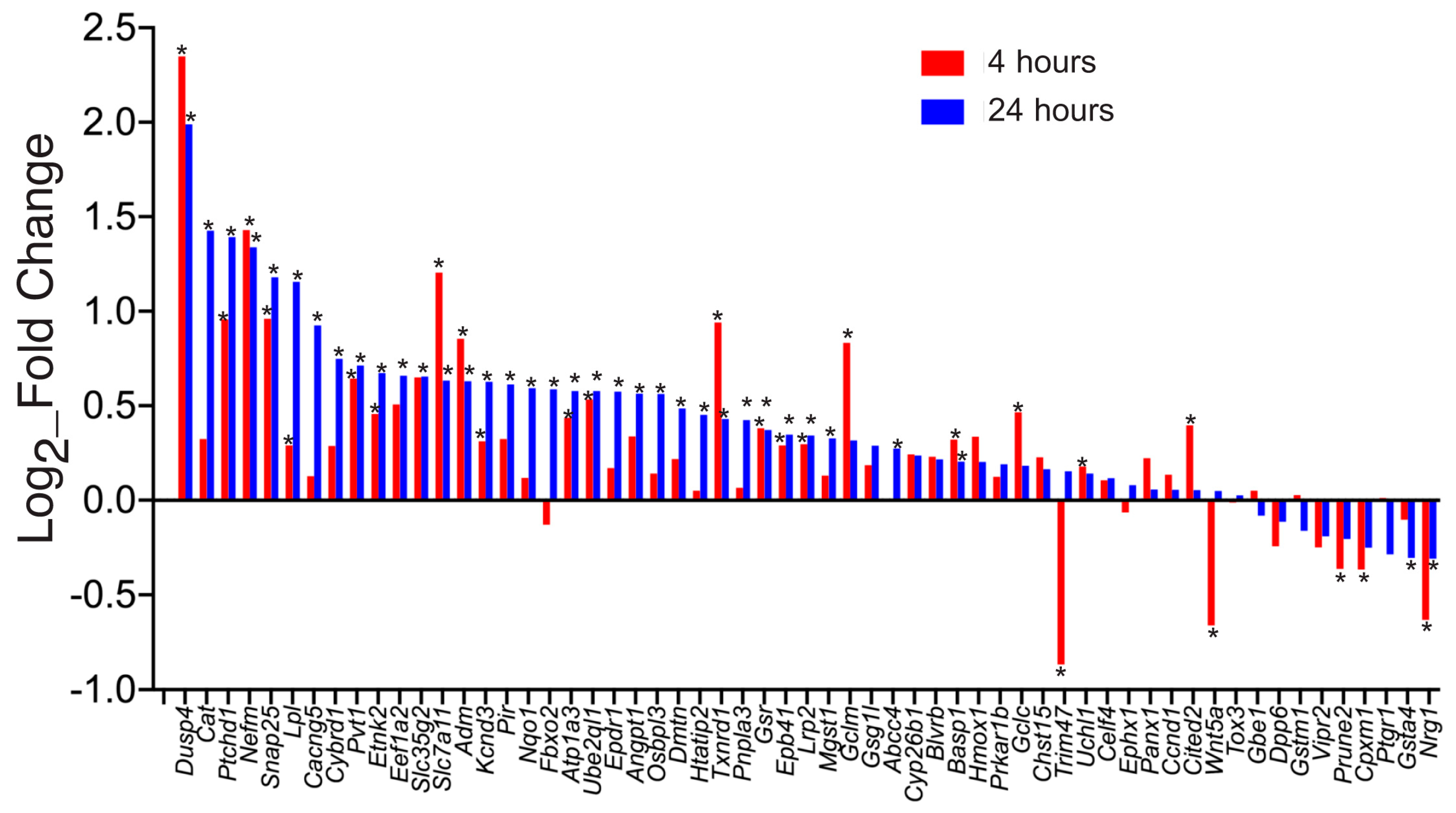 Ijms 21 01933 g001 Ijms 21 01933 g001