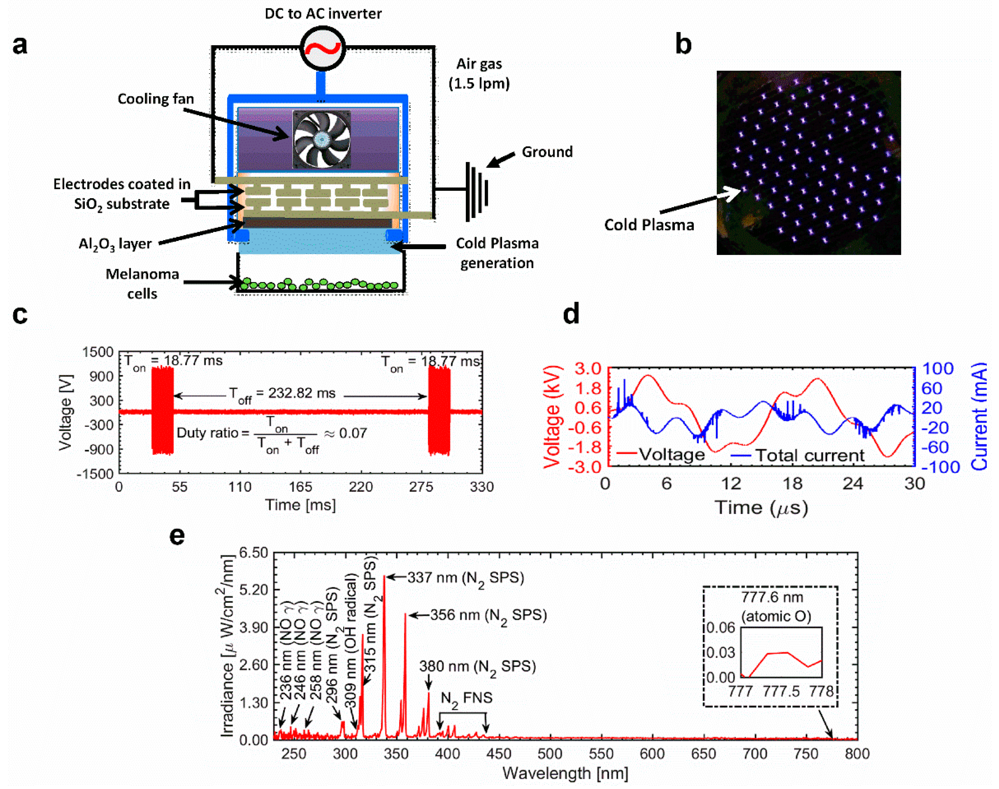 Ijms 21 01939 g001 Ijms 21 01939 g001