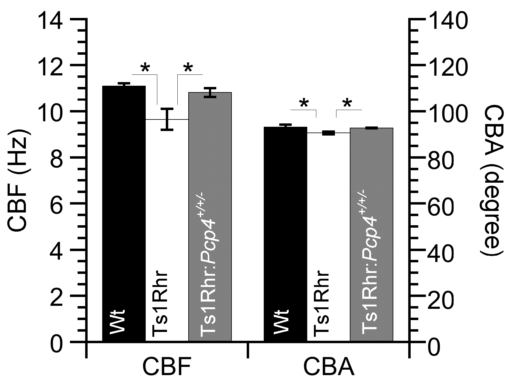Ijms 21 01947 g001 Ijms 21 01947 g001