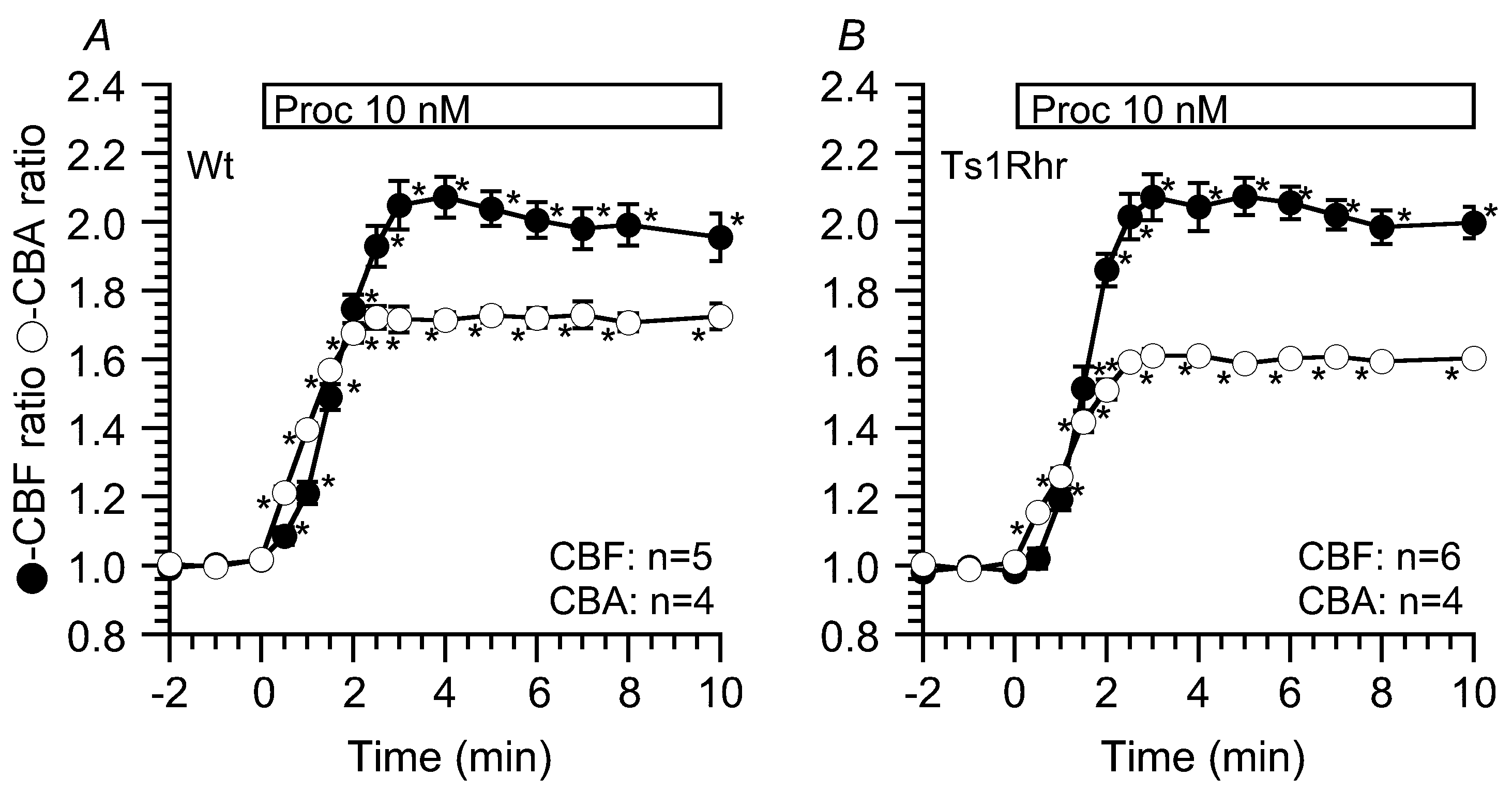 Ijms 21 01947 g003 Ijms 21 01947 g003