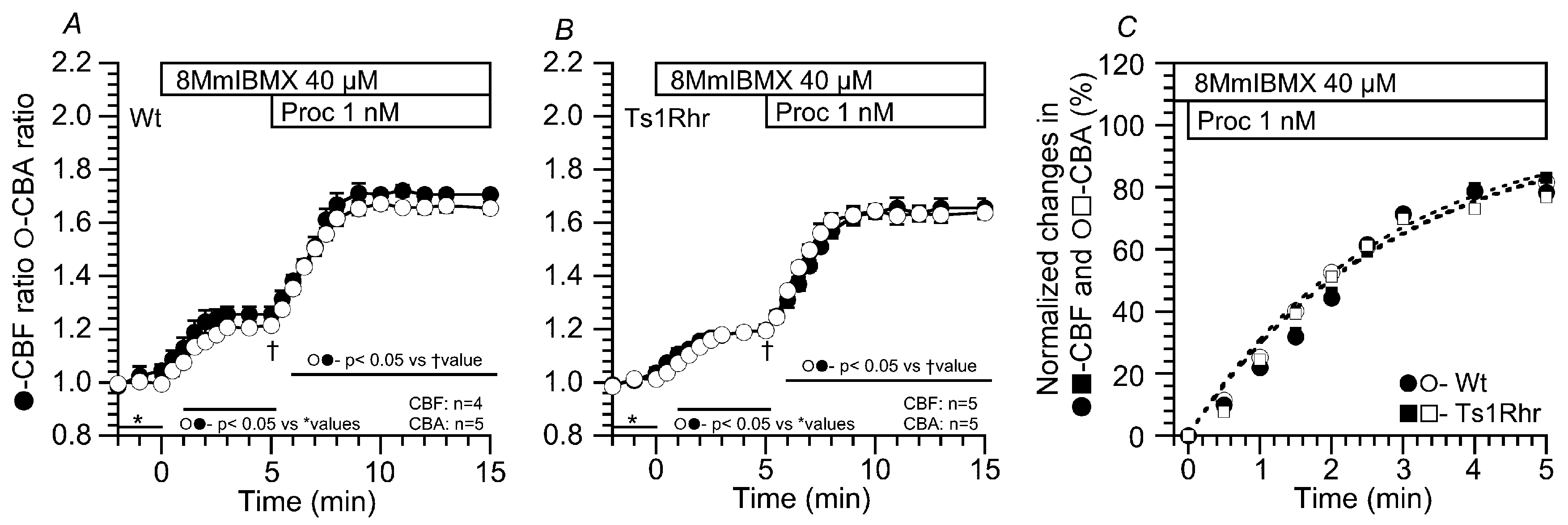 Ijms 21 01947 g004 Ijms 21 01947 g004