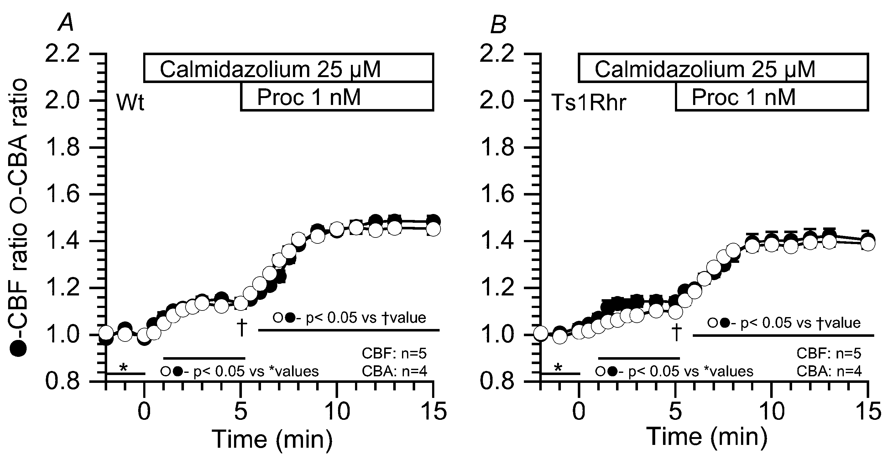 Ijms 21 01947 g005 Ijms 21 01947 g005