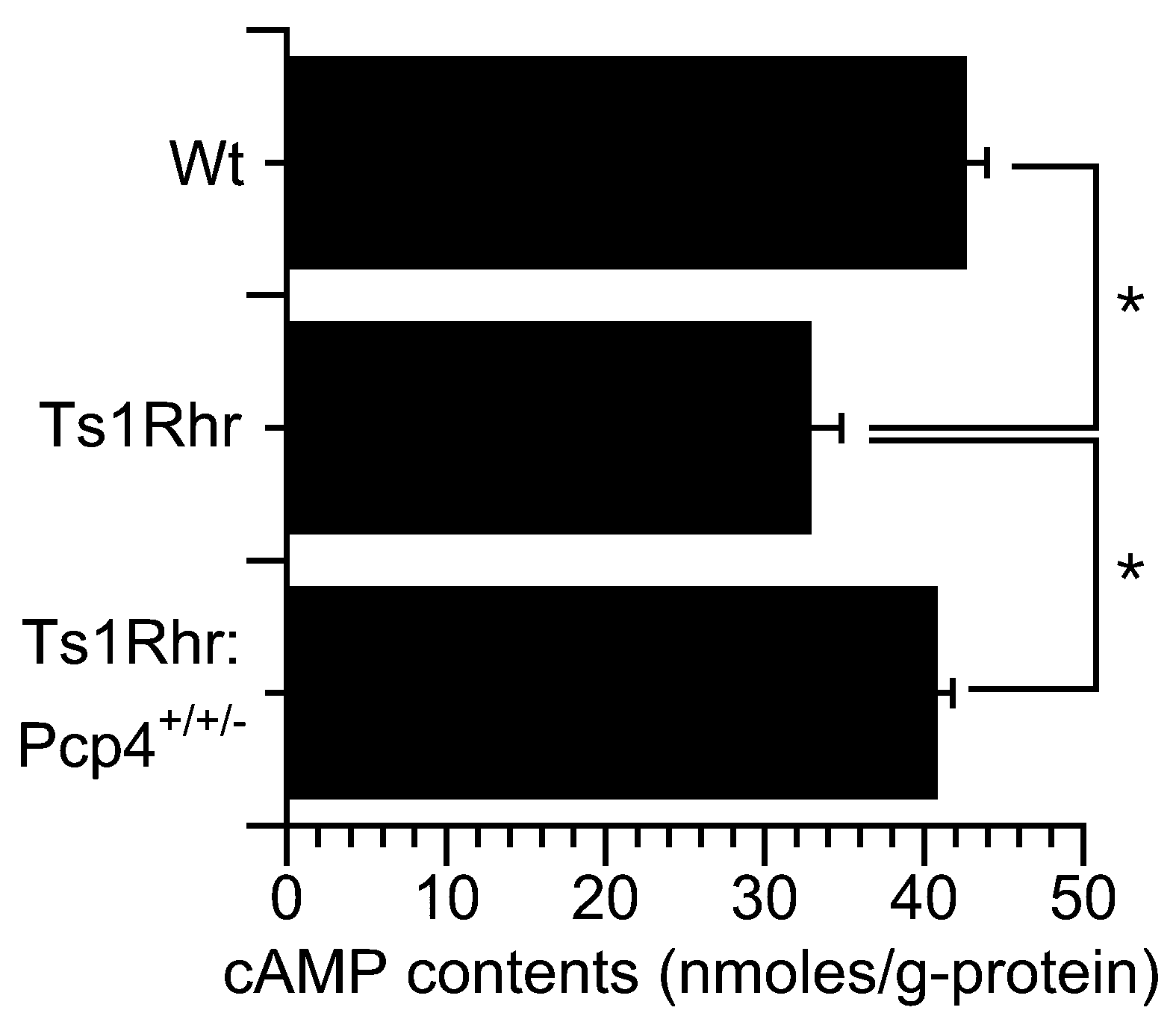 Ijms 21 01947 g006 Ijms 21 01947 g006