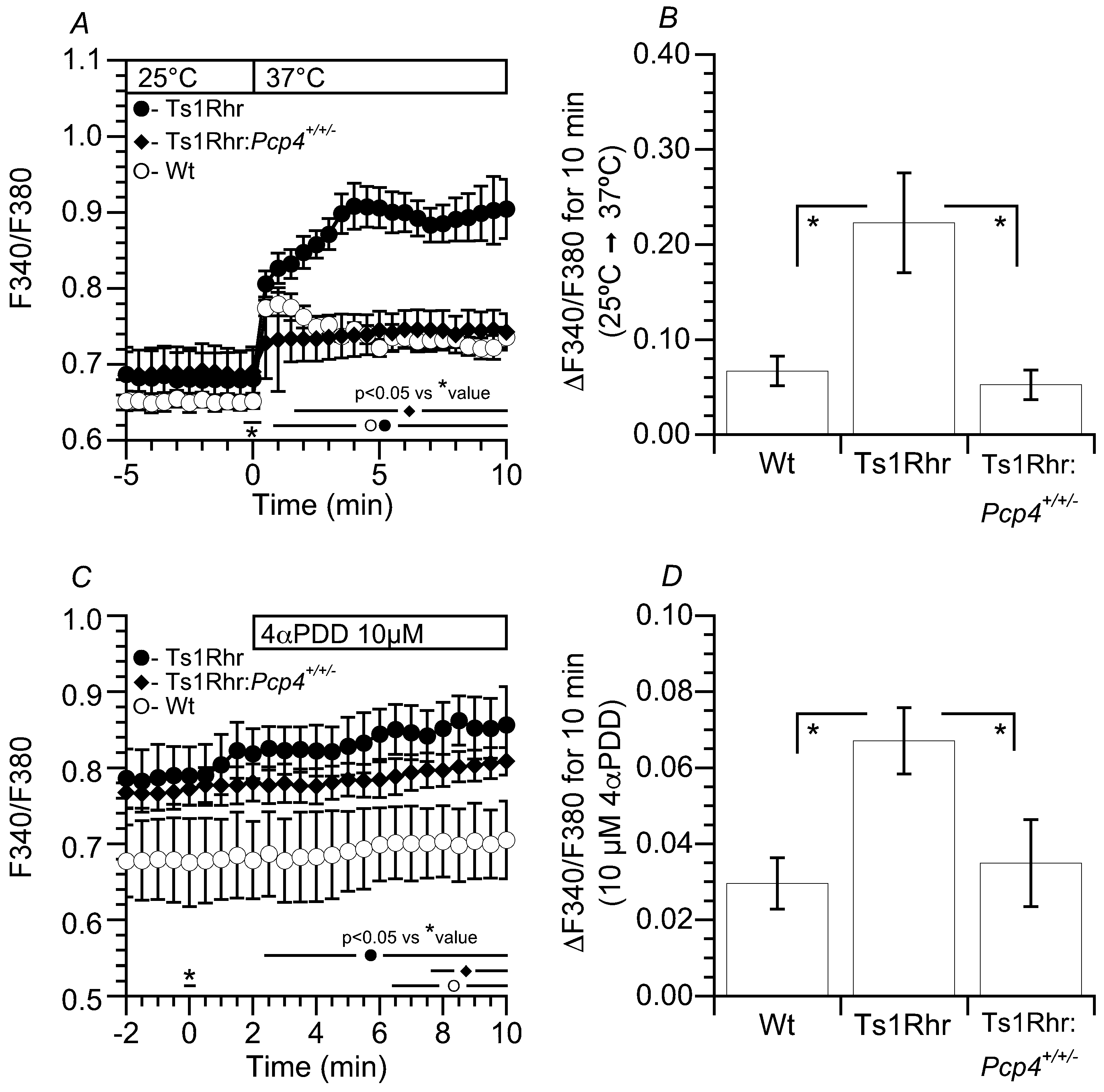 Ijms 21 01947 g007 Ijms 21 01947 g007