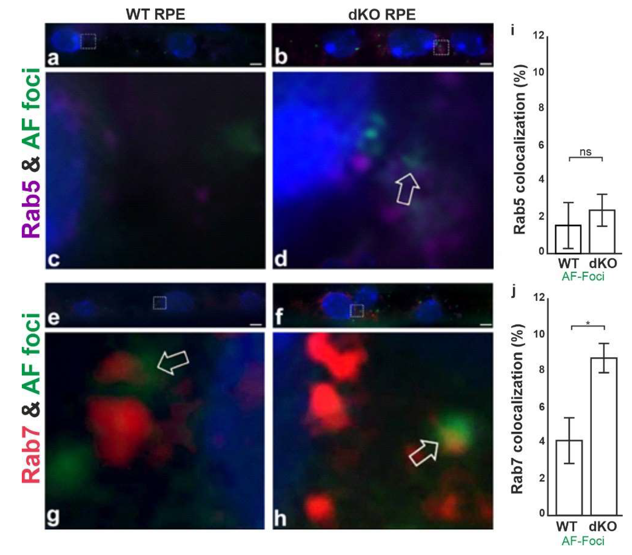 Ijms 21 01976 g008 Ijms 21 01976 g008