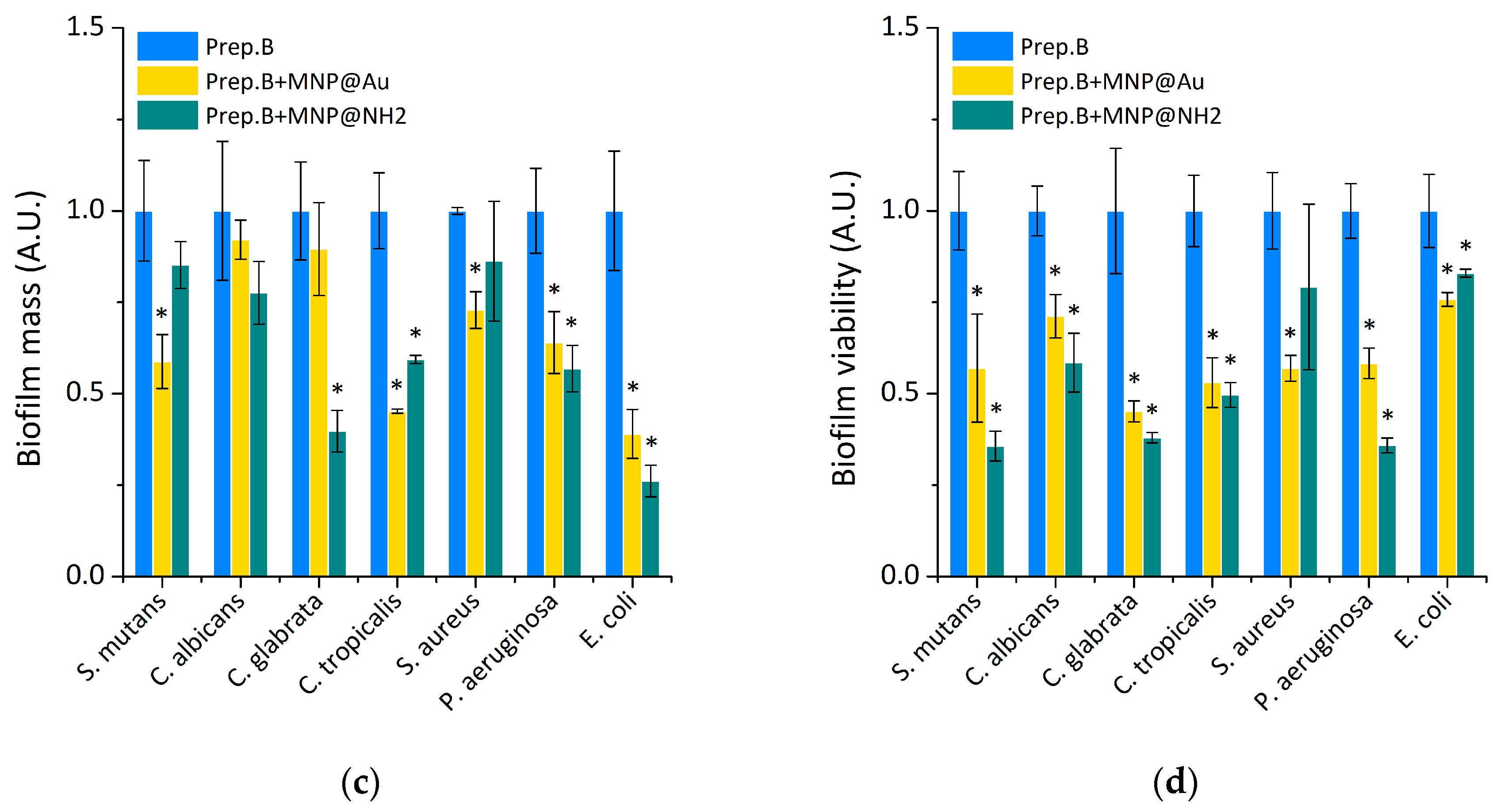 Ijms 21 01979 g003b Ijms 21 01979 g003b