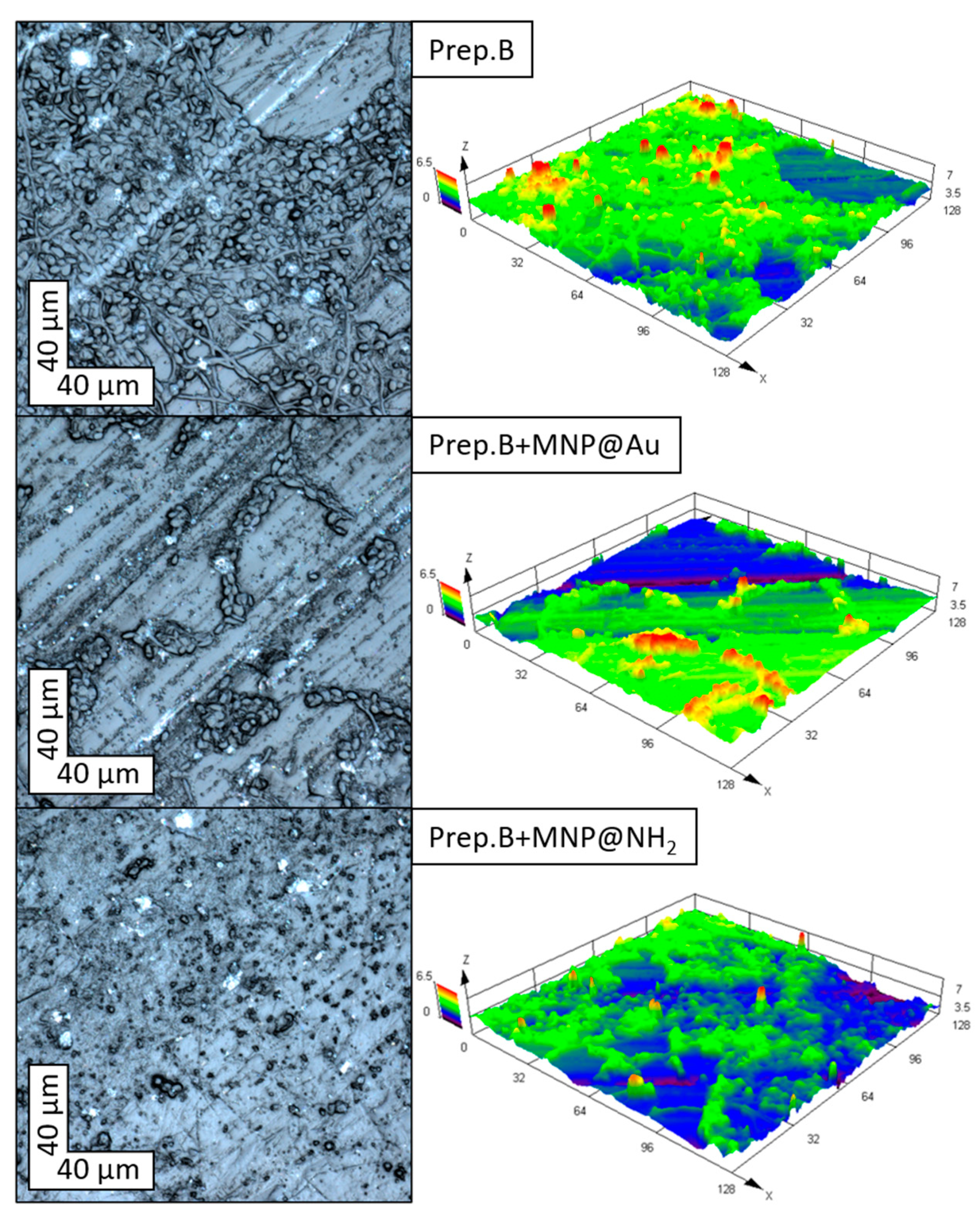 Ijms 21 01979 g005 Ijms 21 01979 g005