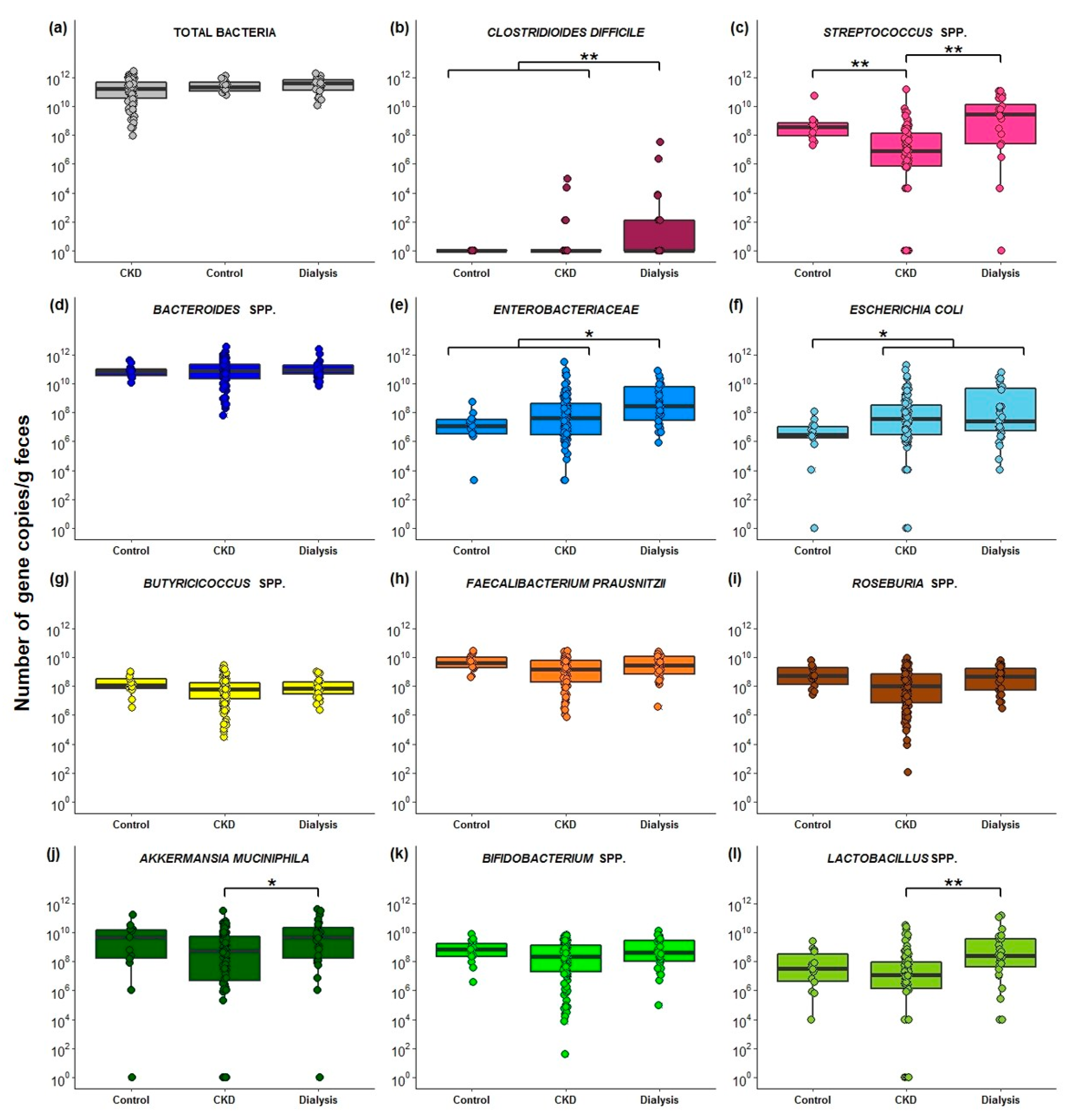 Ijms 21 01986 g002 Ijms 21 01986 g002