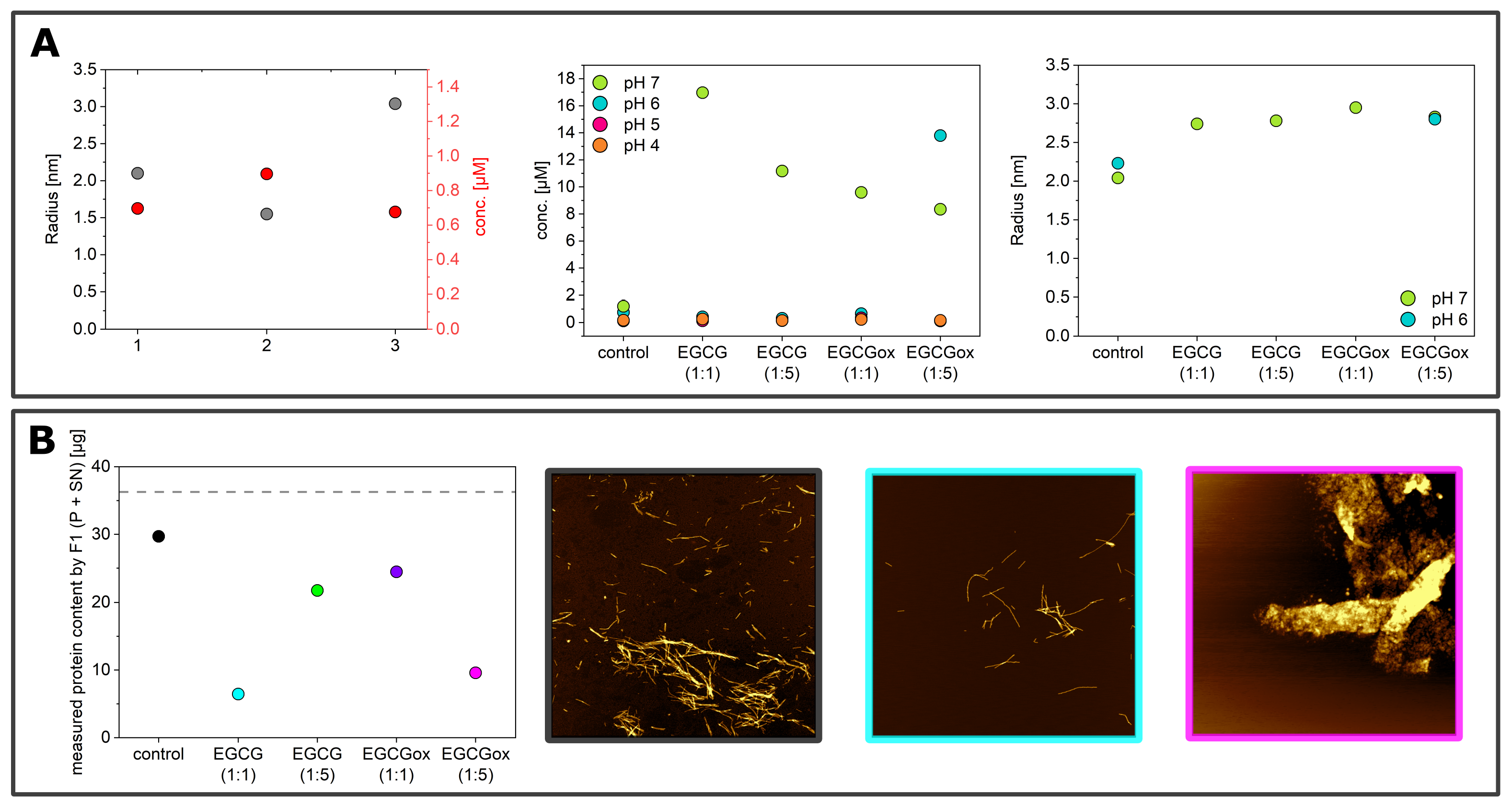 Ijms 21 01995 g005 Ijms 21 01995 g005