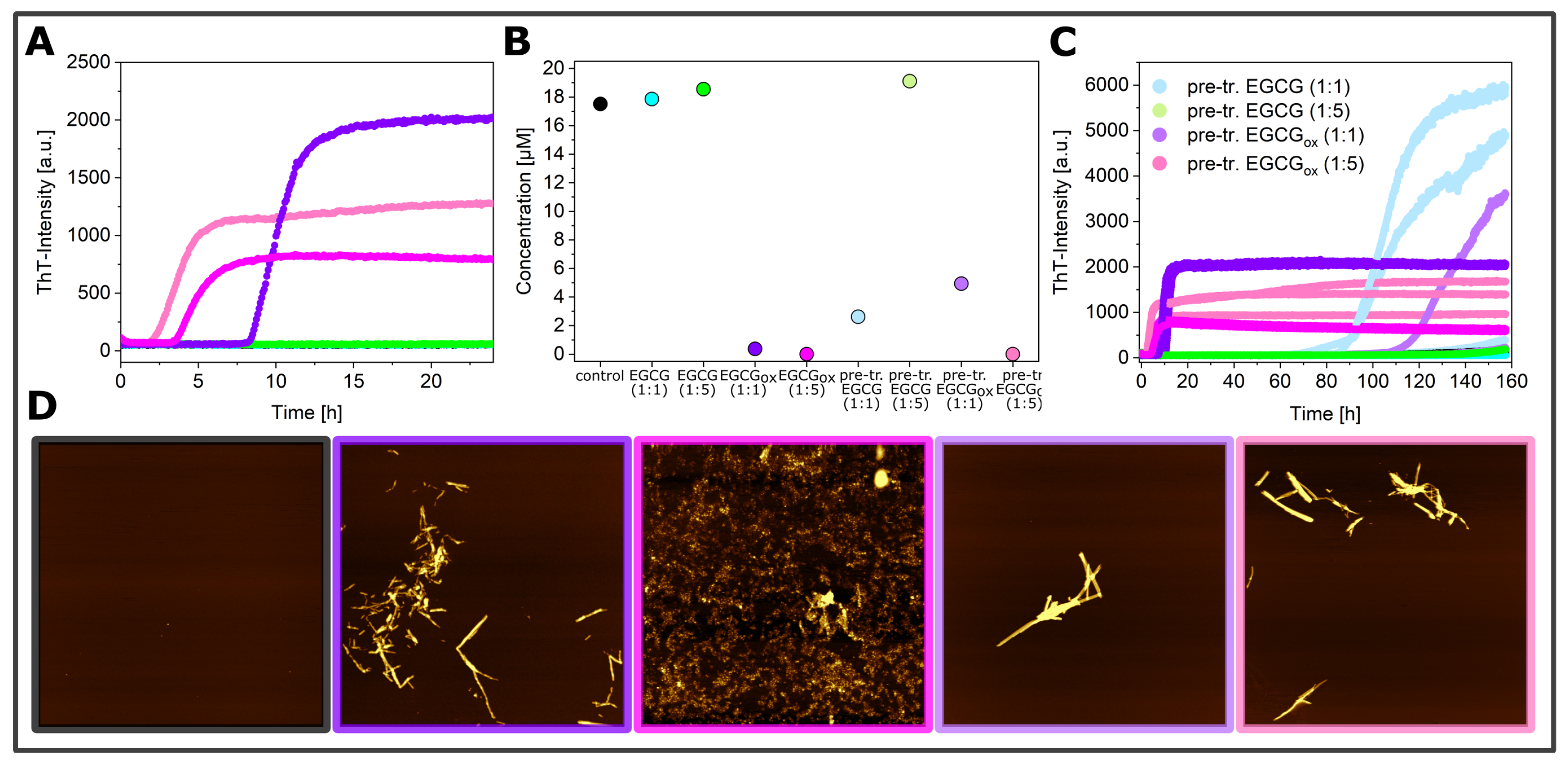 Ijms 21 01995 g007 Ijms 21 01995 g007