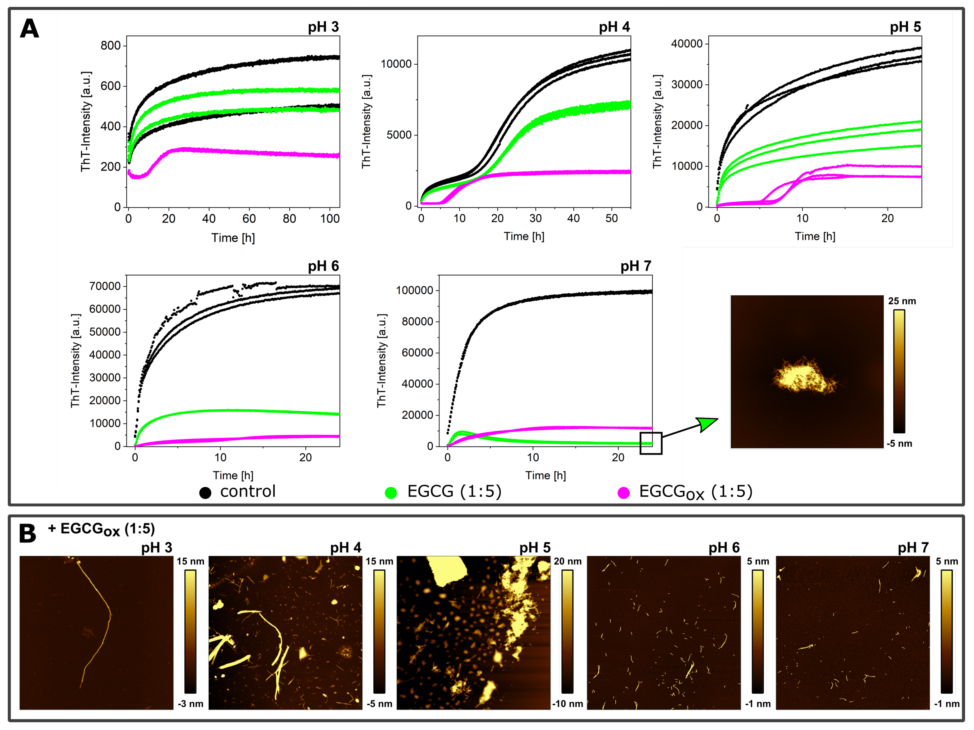 Ijms 21 01995 g008 Ijms 21 01995 g008