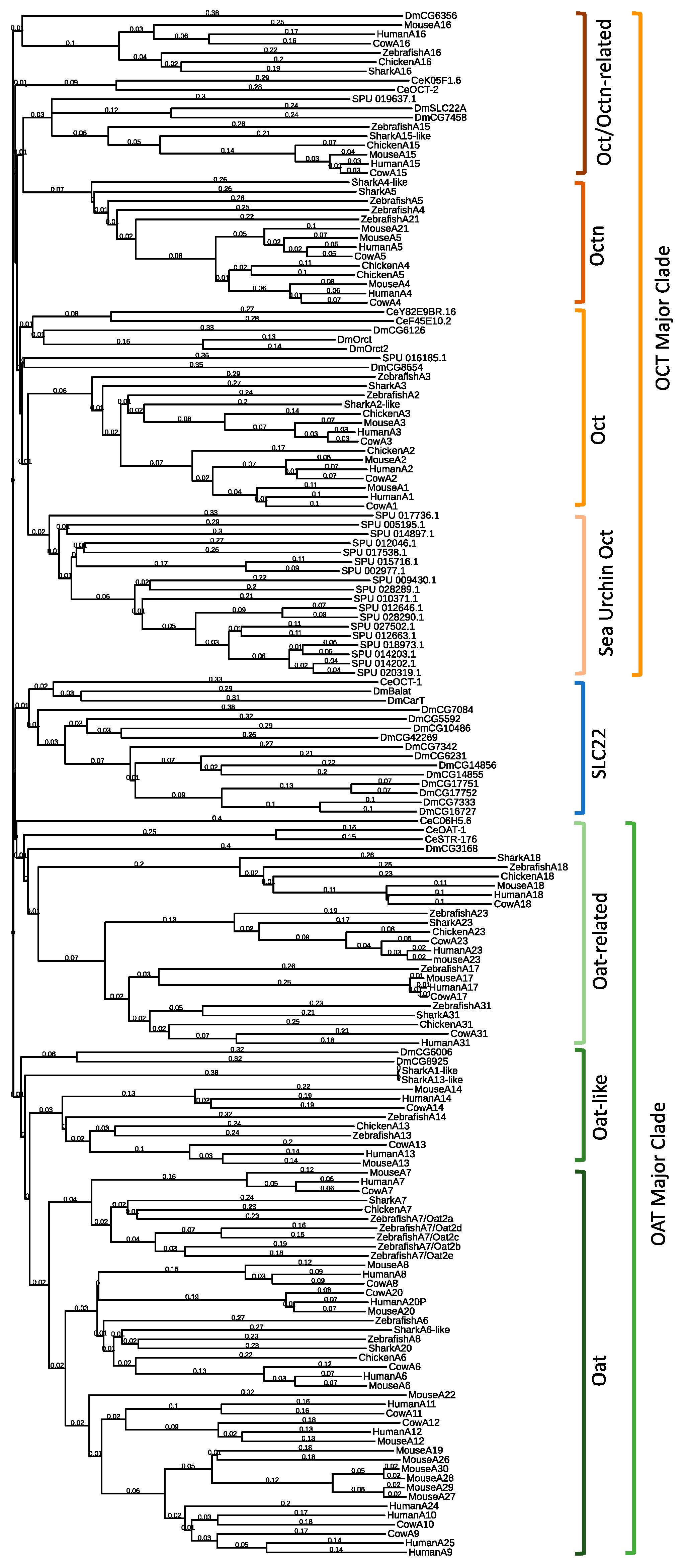 Ijms 21 02002 g001 Ijms 21 02002 g001