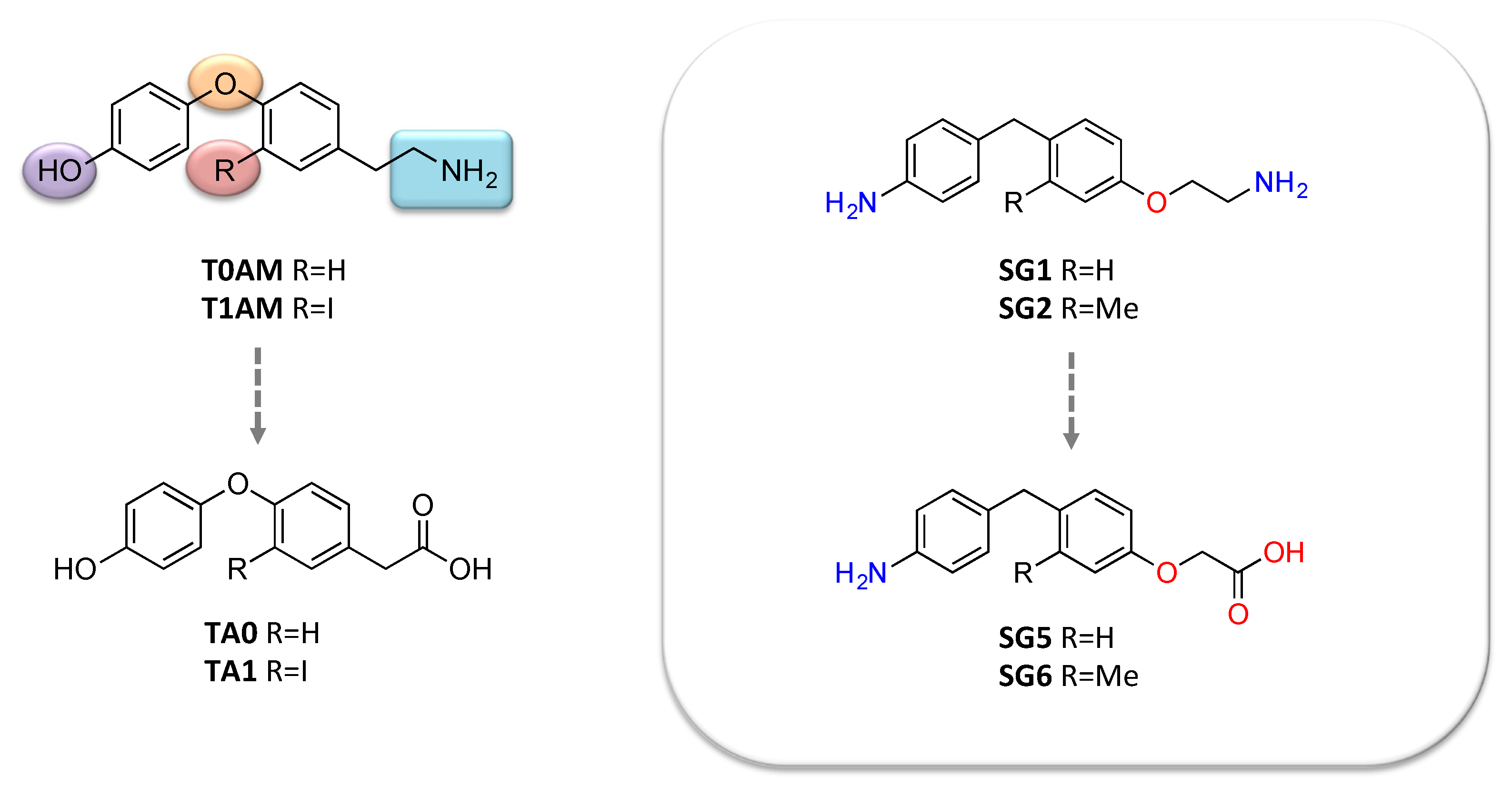 Ijms 21 02005 g004 Ijms 21 02005 g004