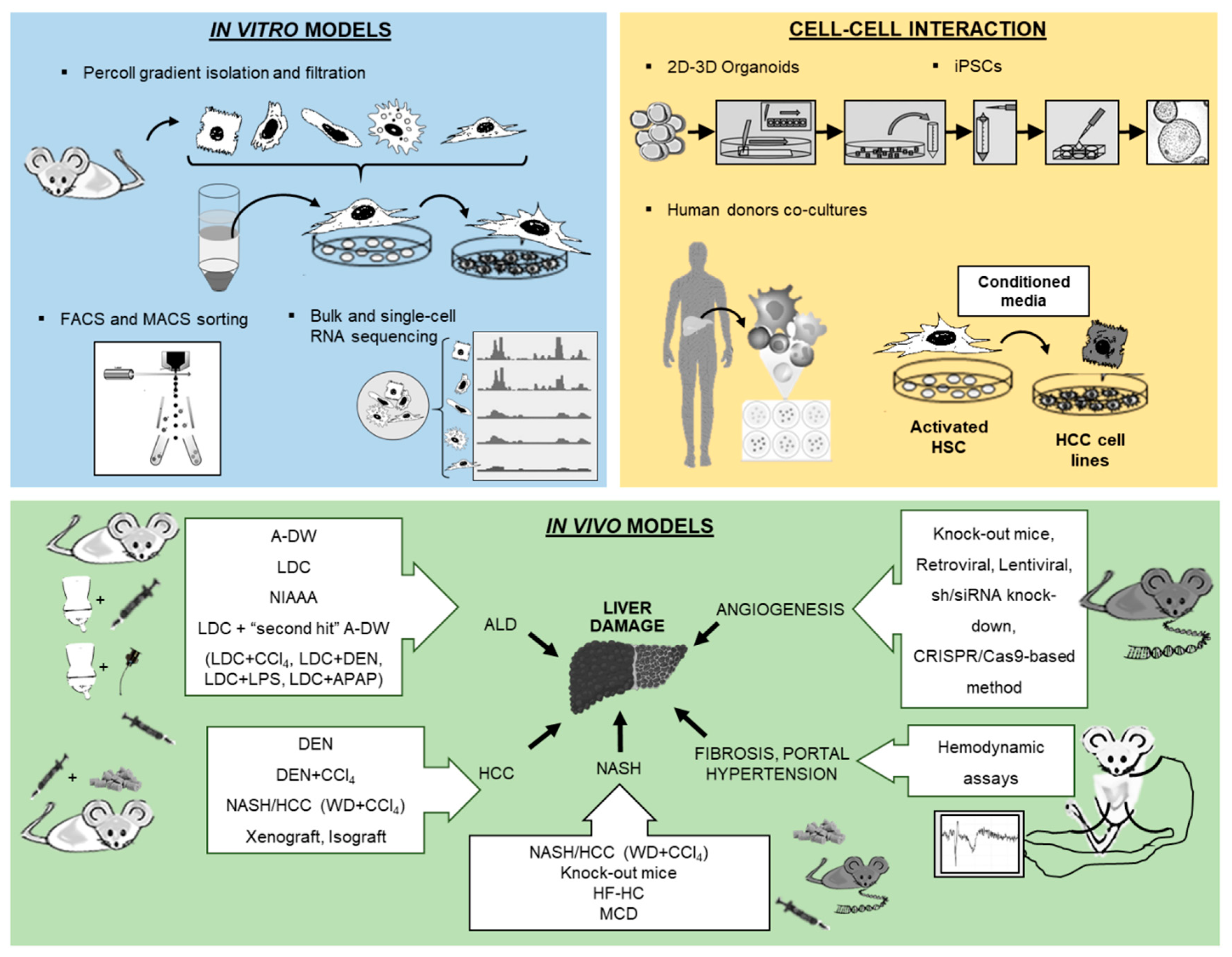 Ijms 21 02027 g001 Ijms 21 02027 g001