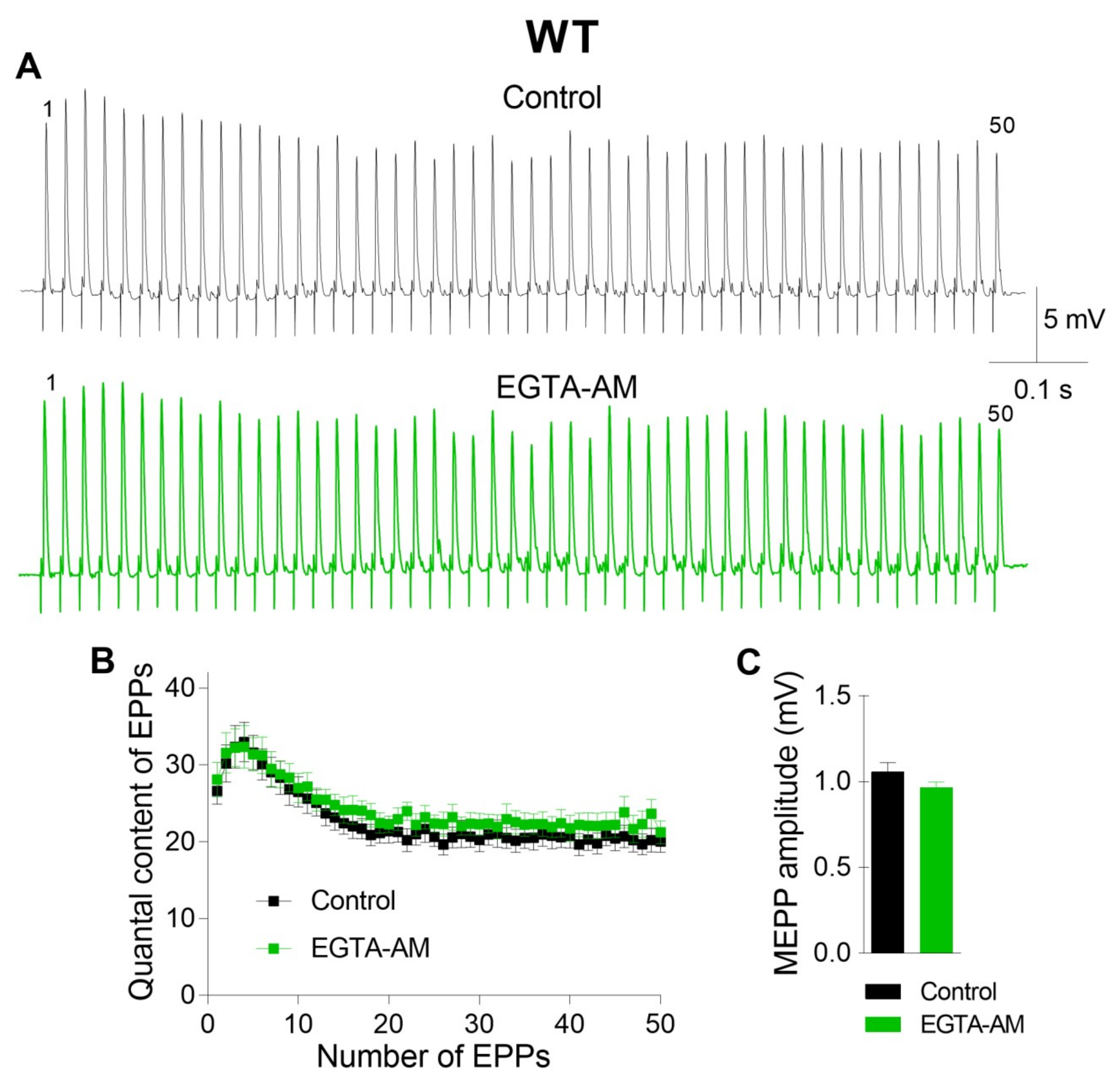 Ijms 21 02034 g001 Ijms 21 02034 g001
