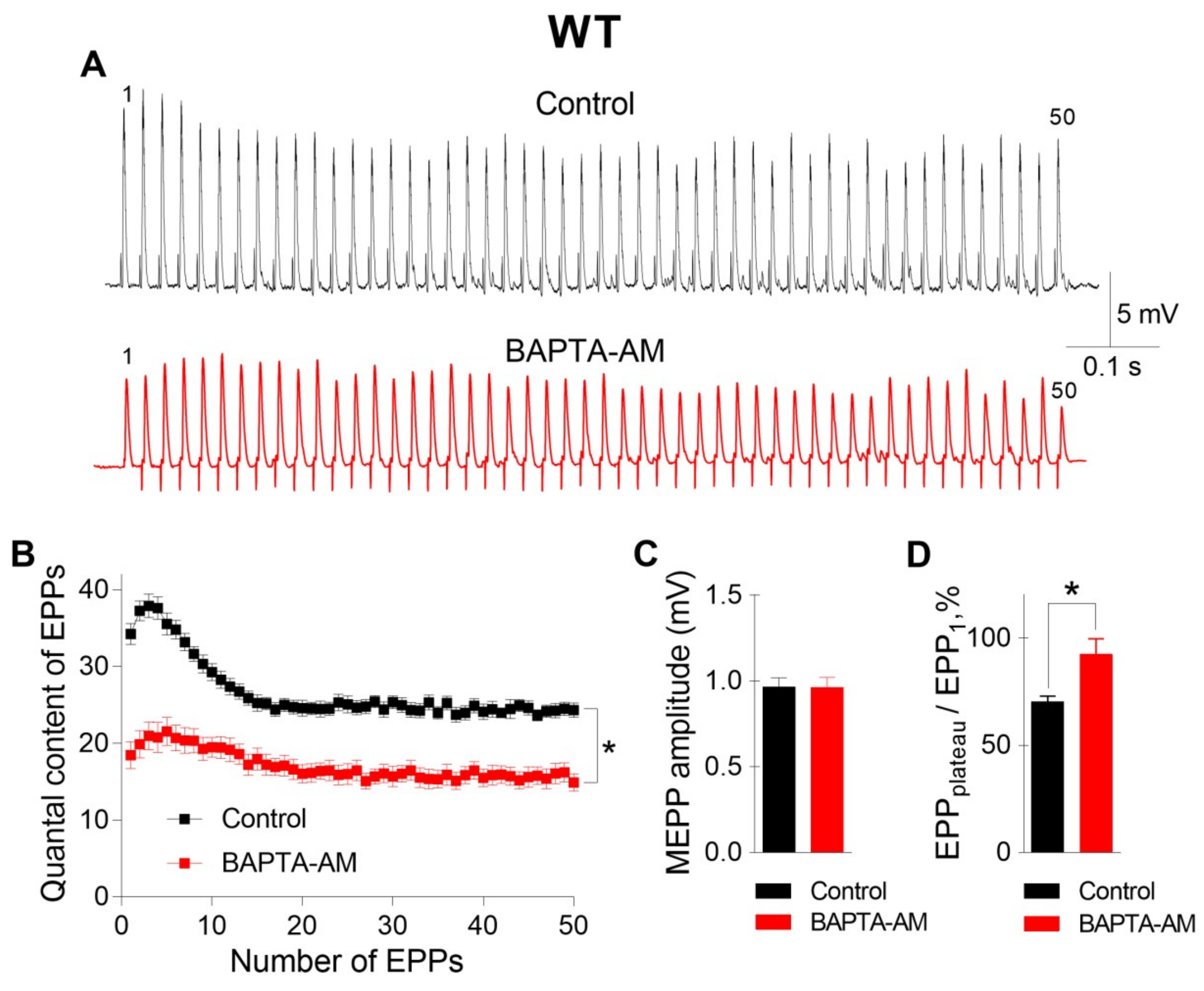 Ijms 21 02034 g002 Ijms 21 02034 g002