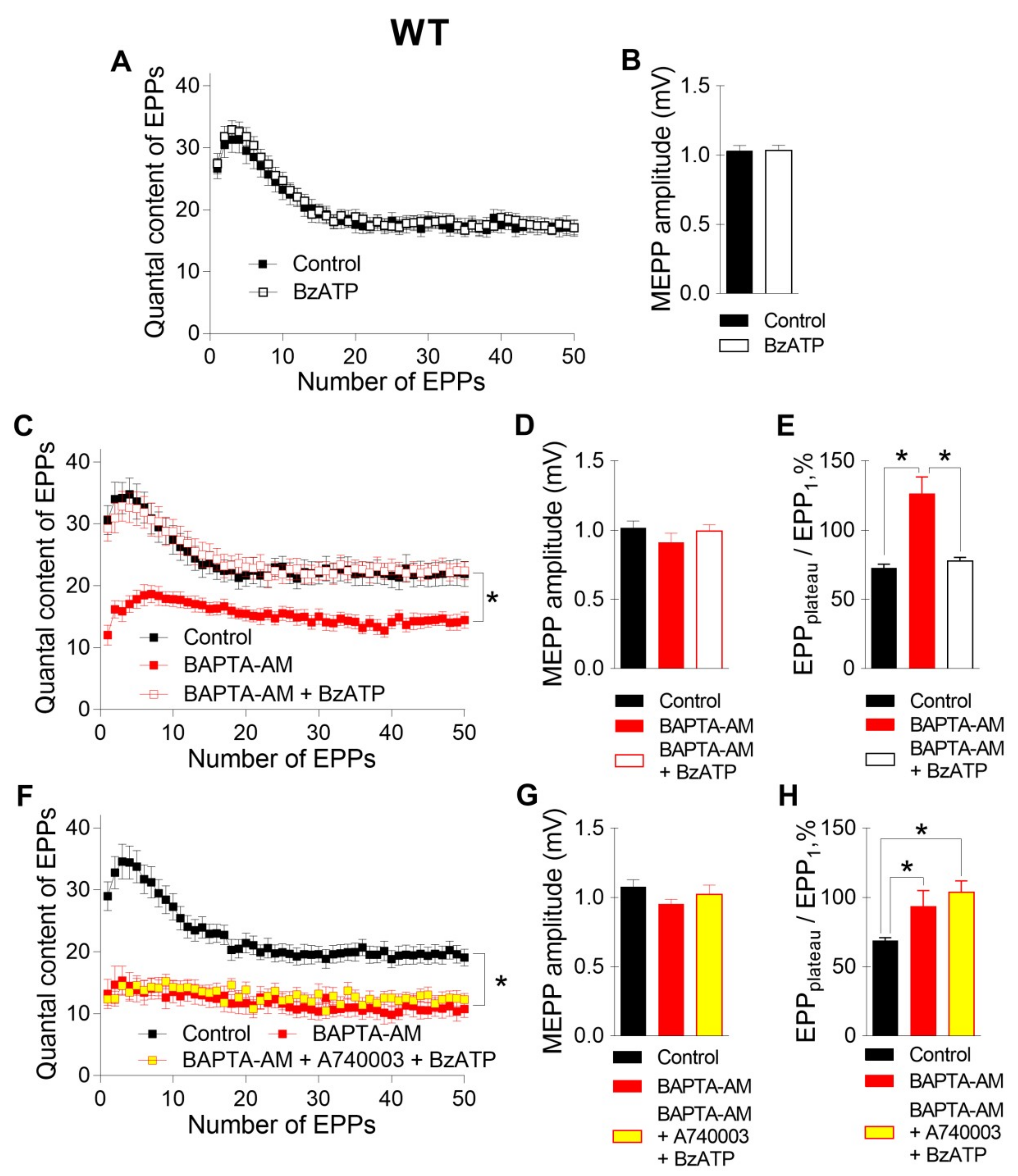 Ijms 21 02034 g003 Ijms 21 02034 g003