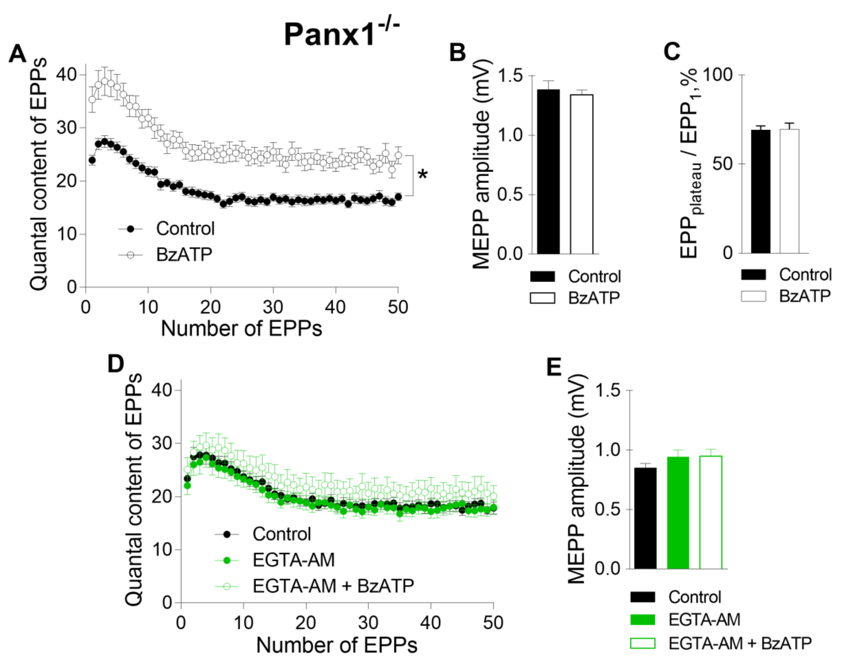 Ijms 21 02034 g004 Ijms 21 02034 g004