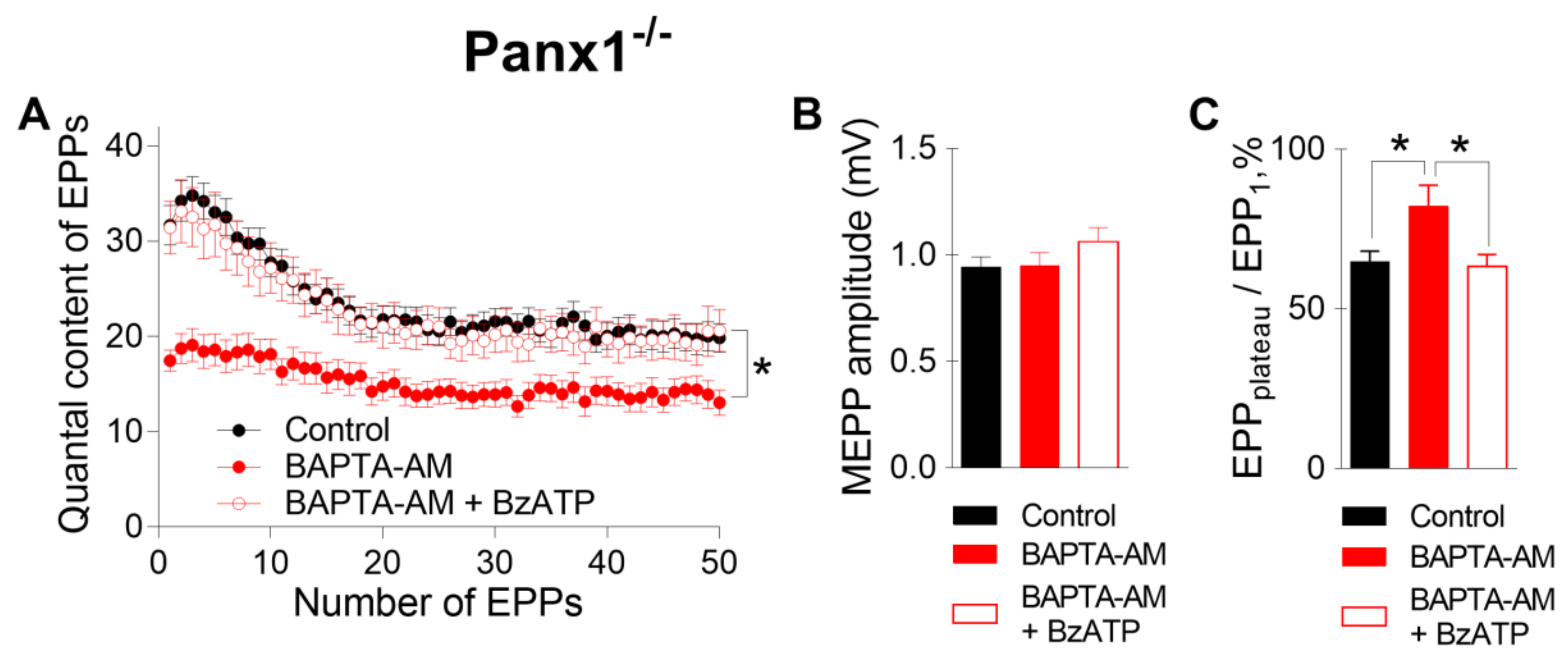 Ijms 21 02034 g005 Ijms 21 02034 g005