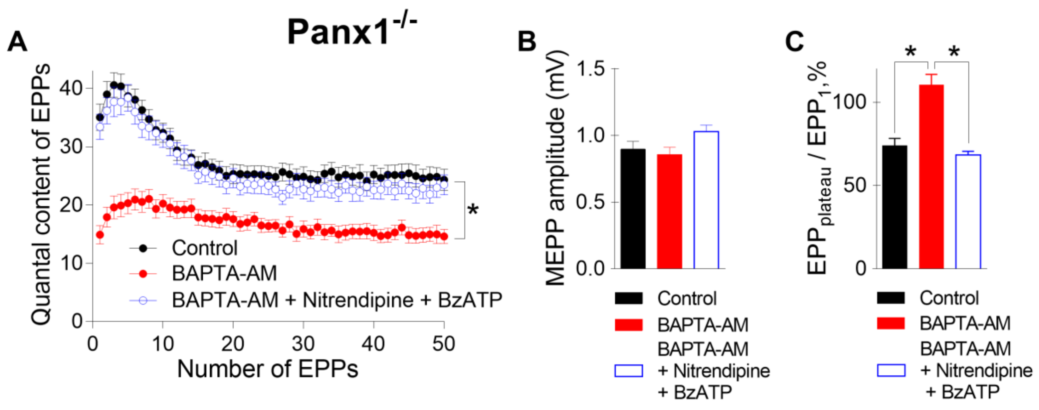 Ijms 21 02034 g006 Ijms 21 02034 g006