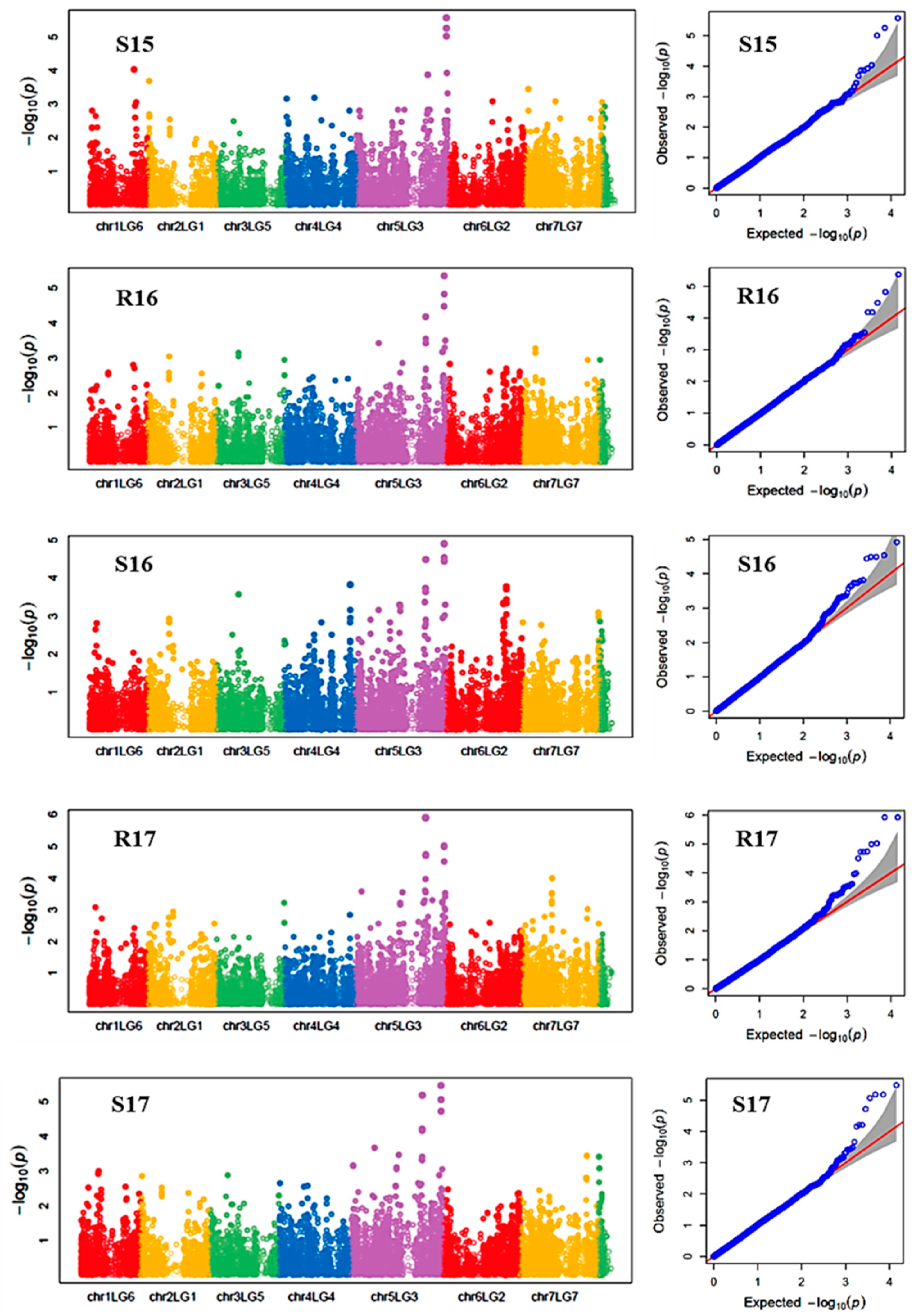 Ijms 21 02043 g002 Ijms 21 02043 g002