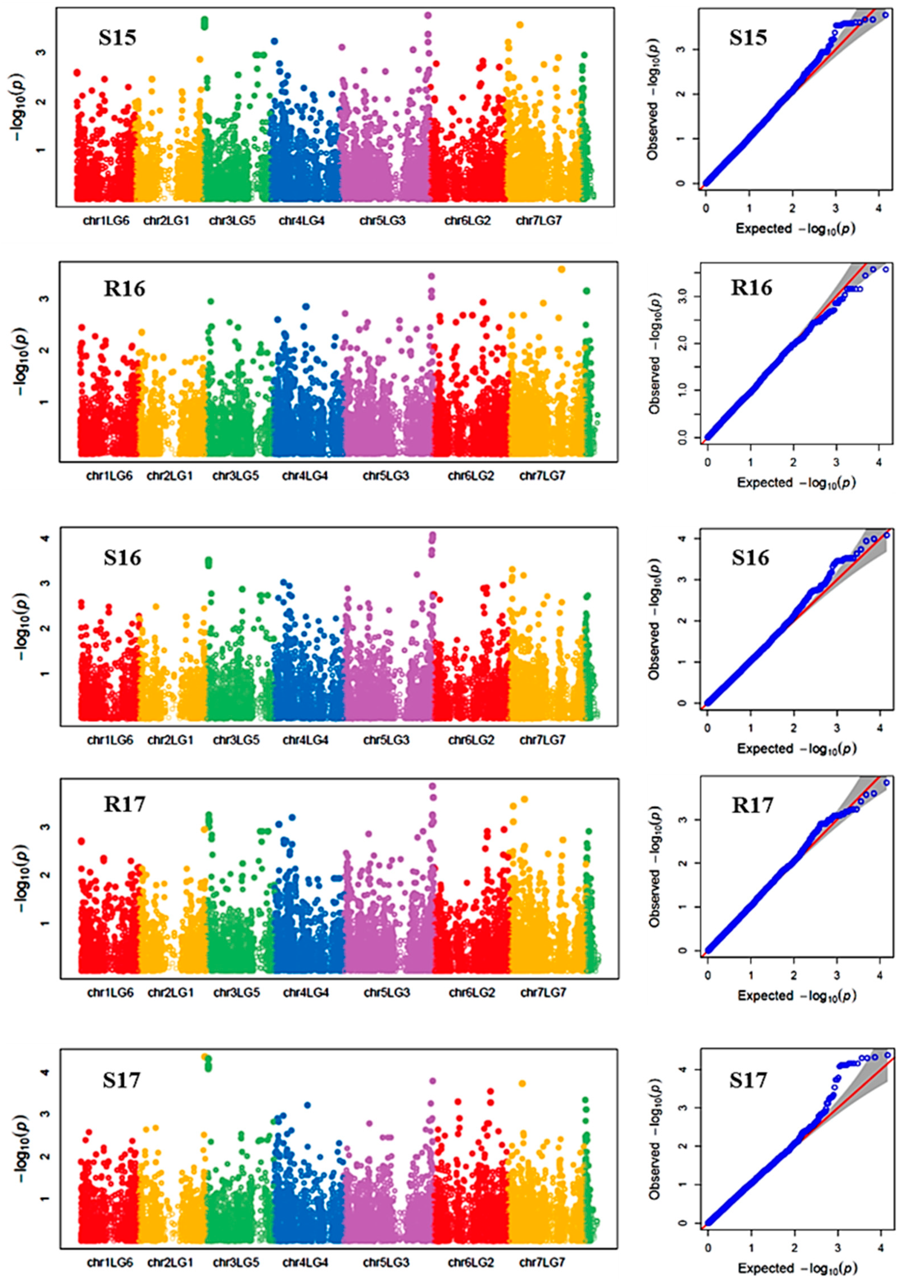 Ijms 21 02043 g003 Ijms 21 02043 g003