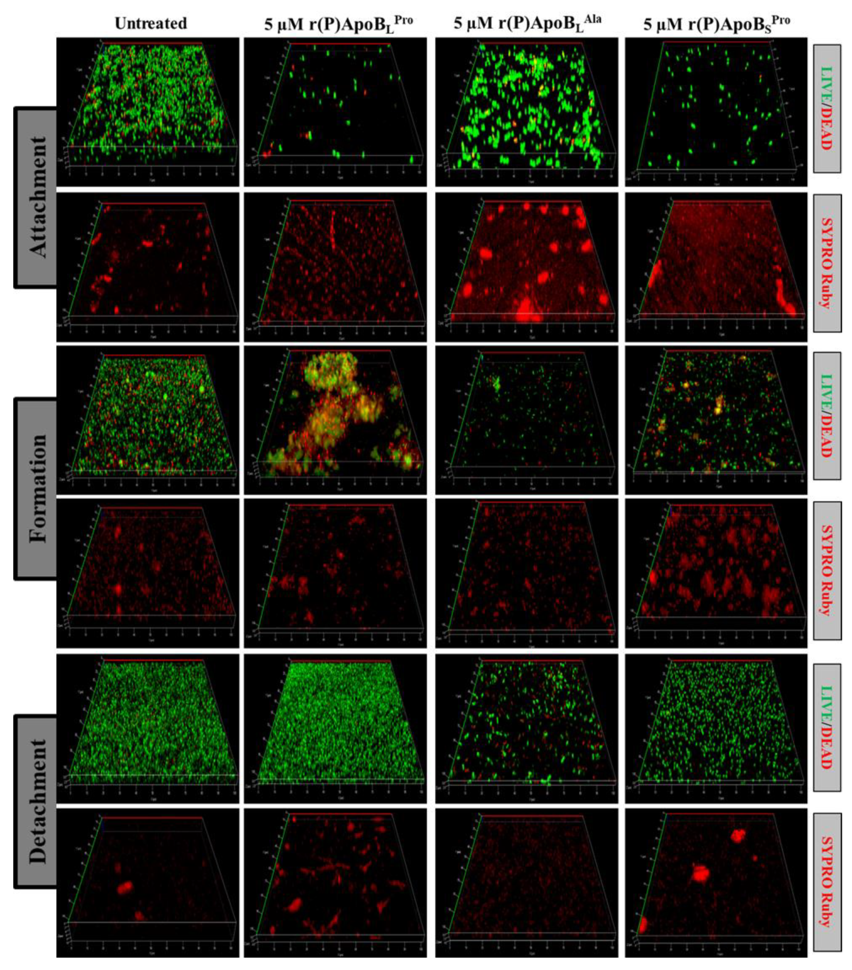 Ijms 21 02049 g002 Ijms 21 02049 g002