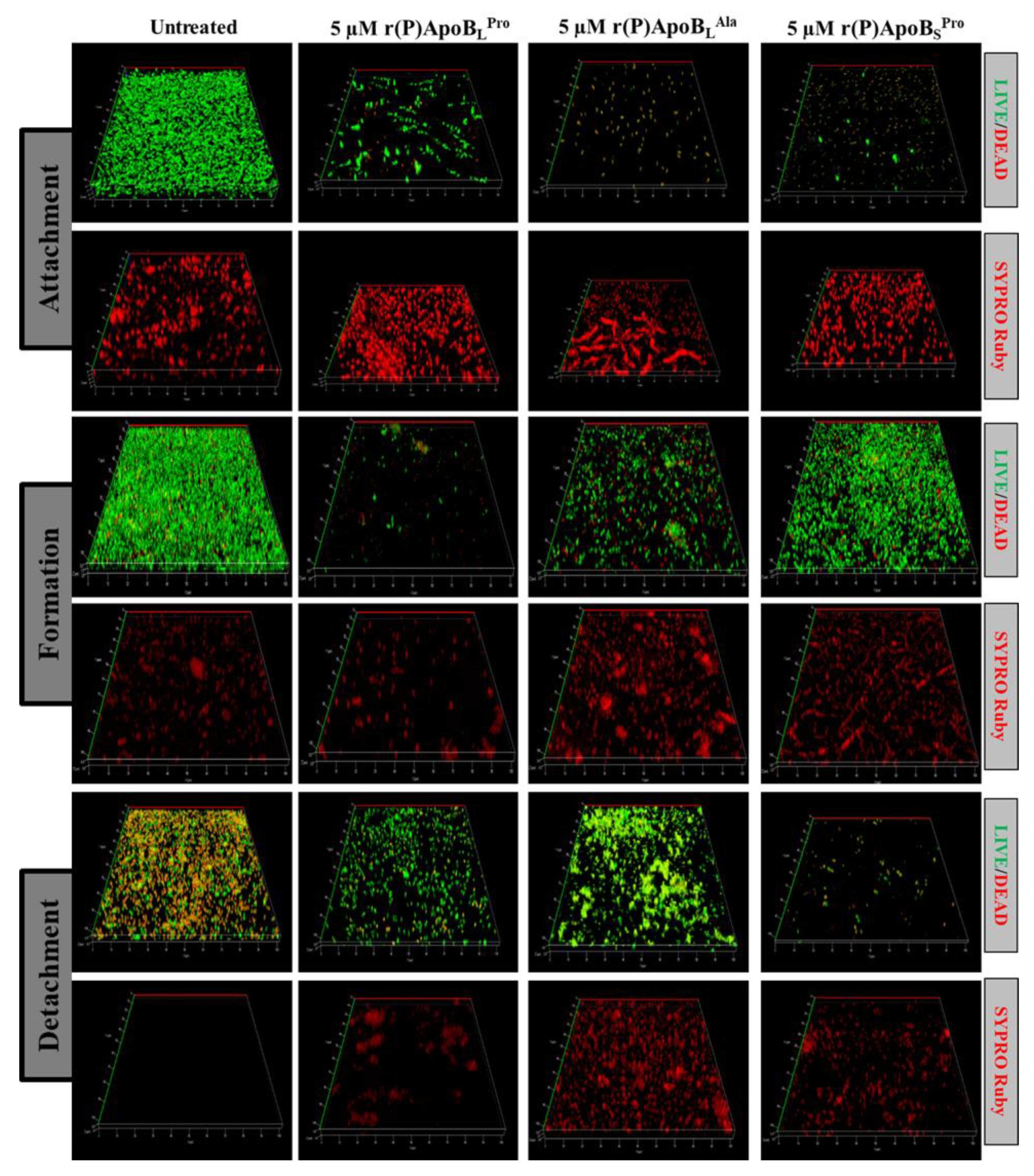 Ijms 21 02049 g003 Ijms 21 02049 g003