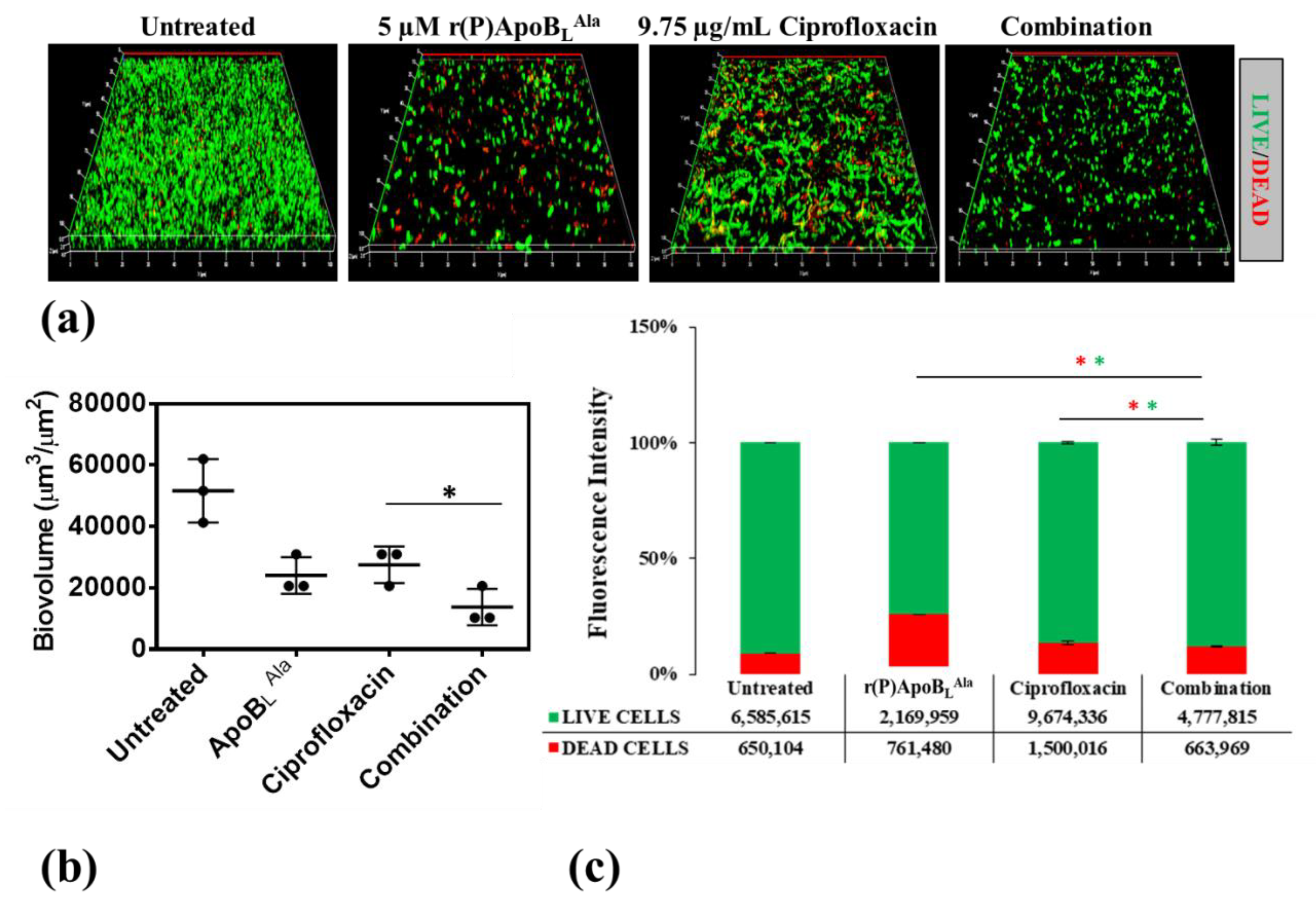 Ijms 21 02049 g007 Ijms 21 02049 g007