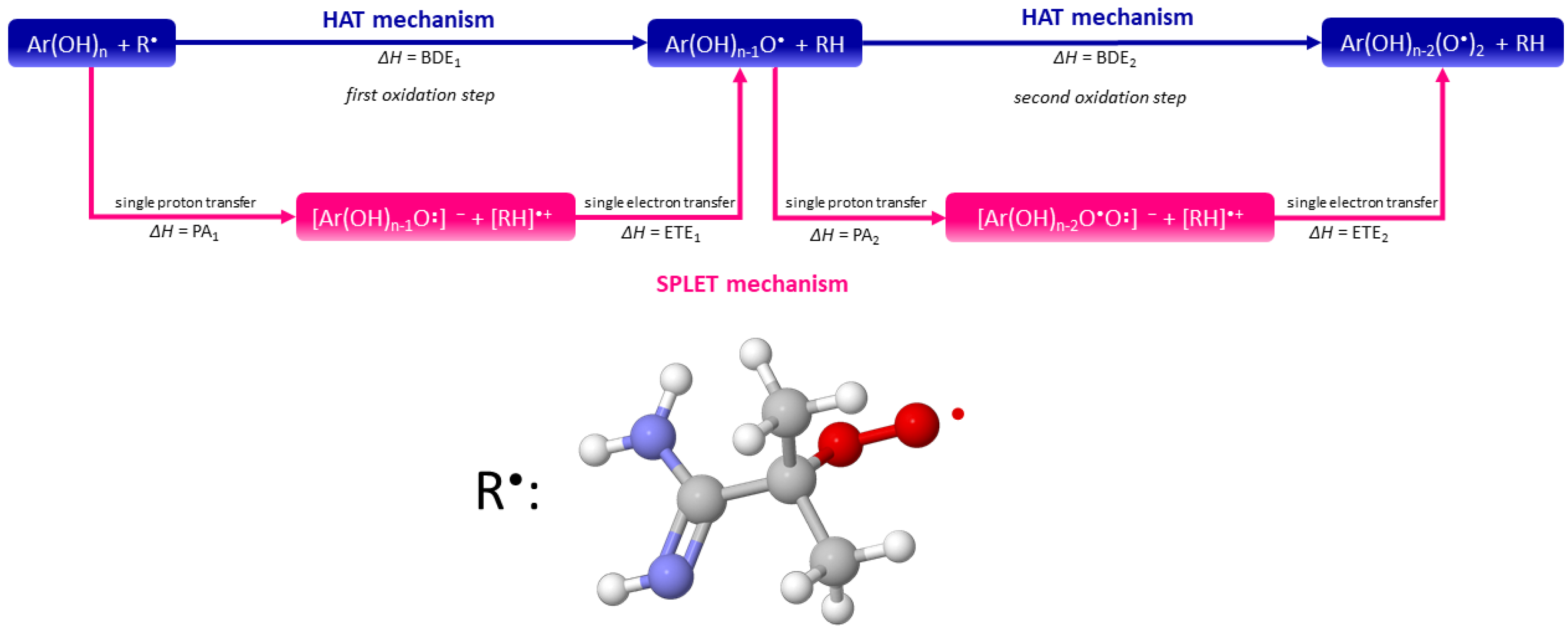 Ijms 21 02053 g006 Ijms 21 02053 g006