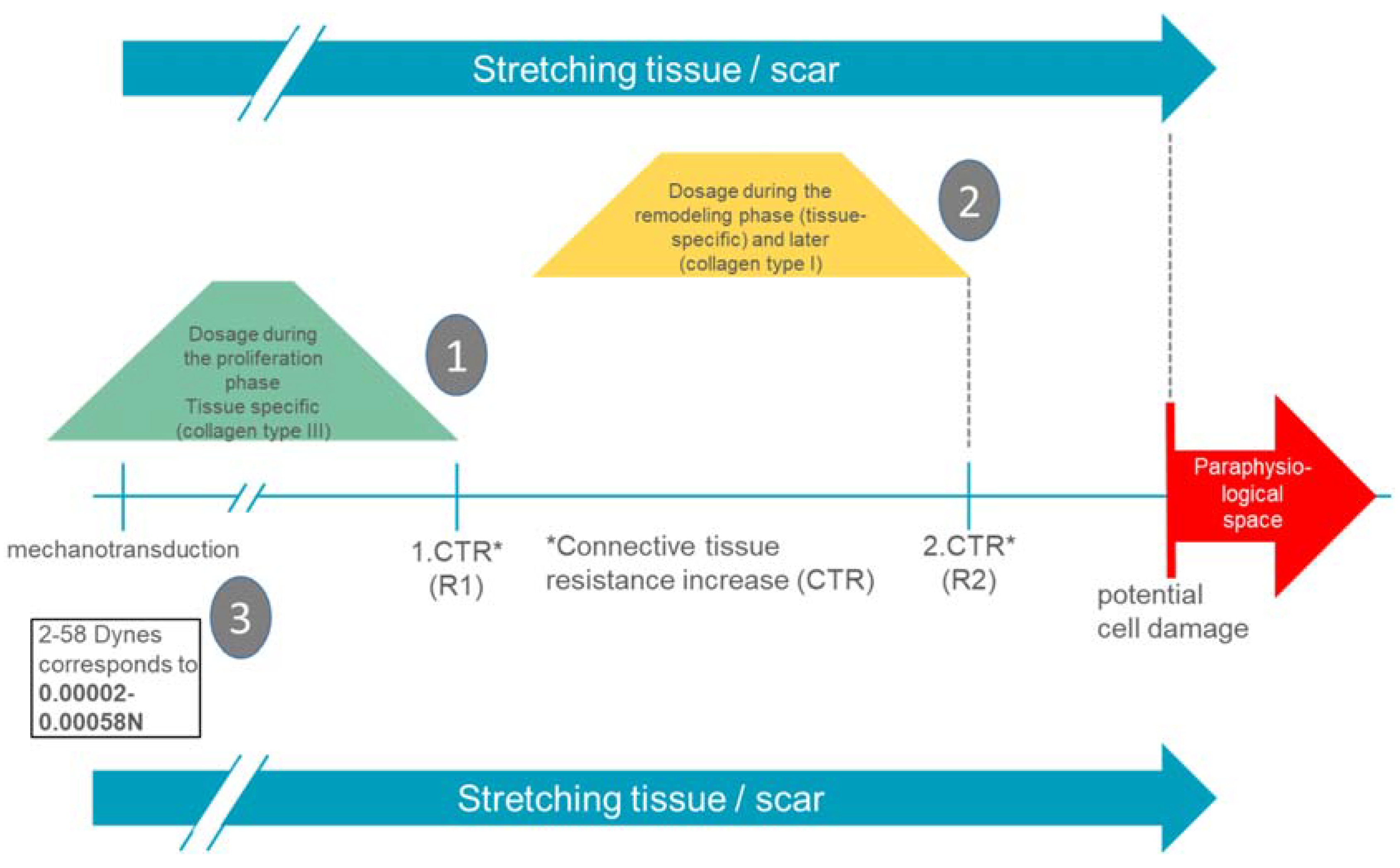 Ijms 21 02055 g006 Ijms 21 02055 g006