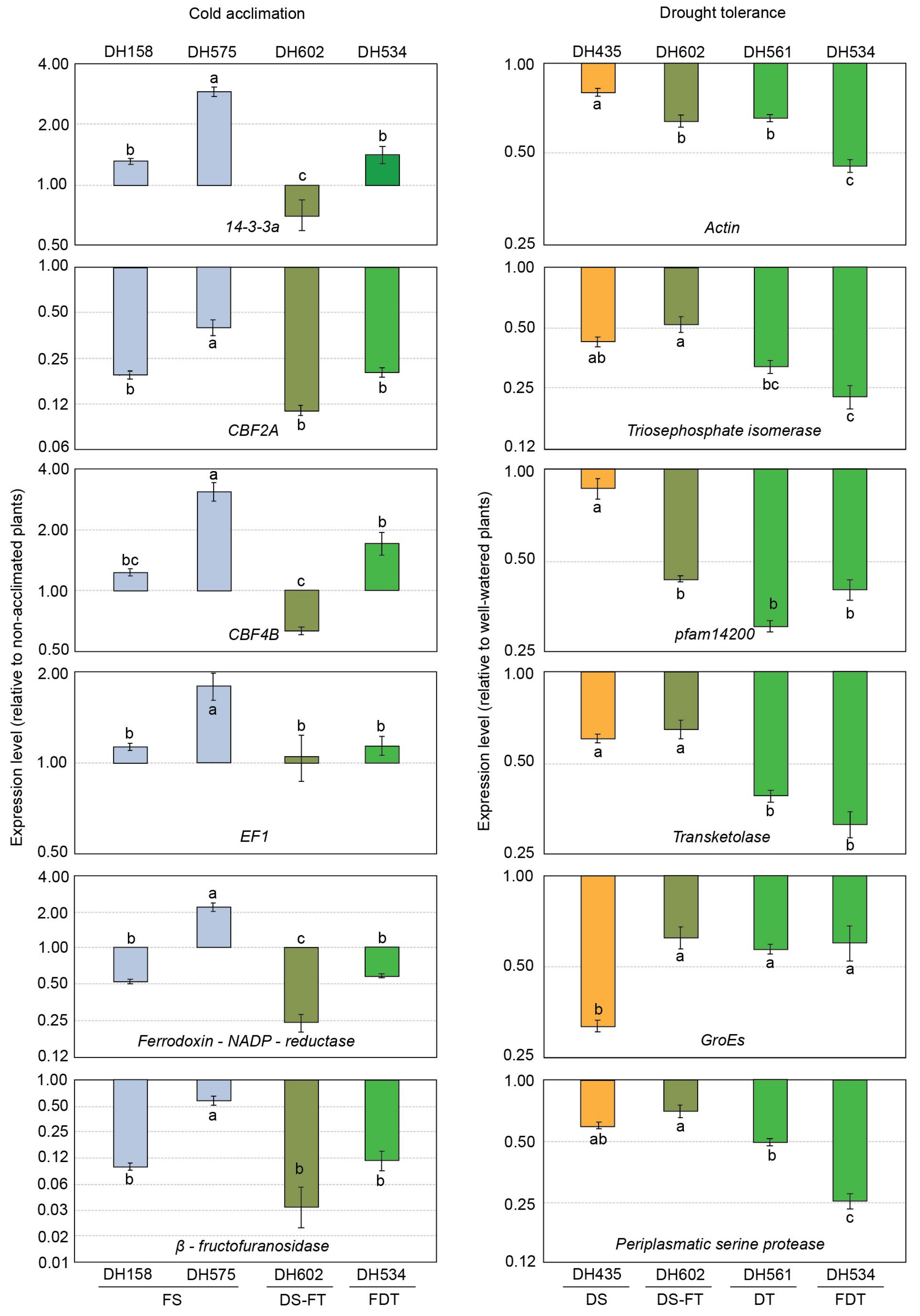 Ijms 21 02062 g001 Ijms 21 02062 g001
