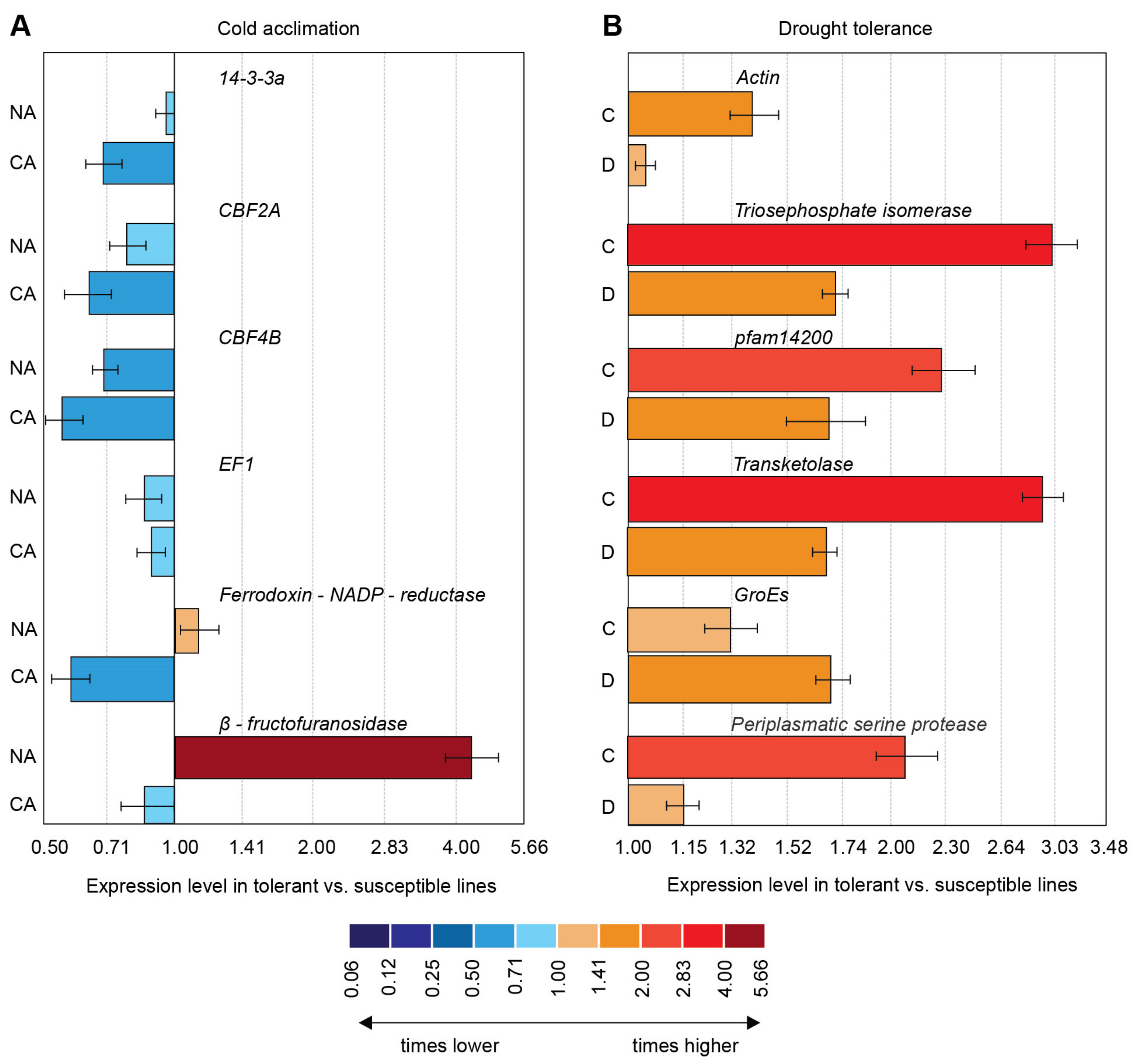 Ijms 21 02062 g002 Ijms 21 02062 g002