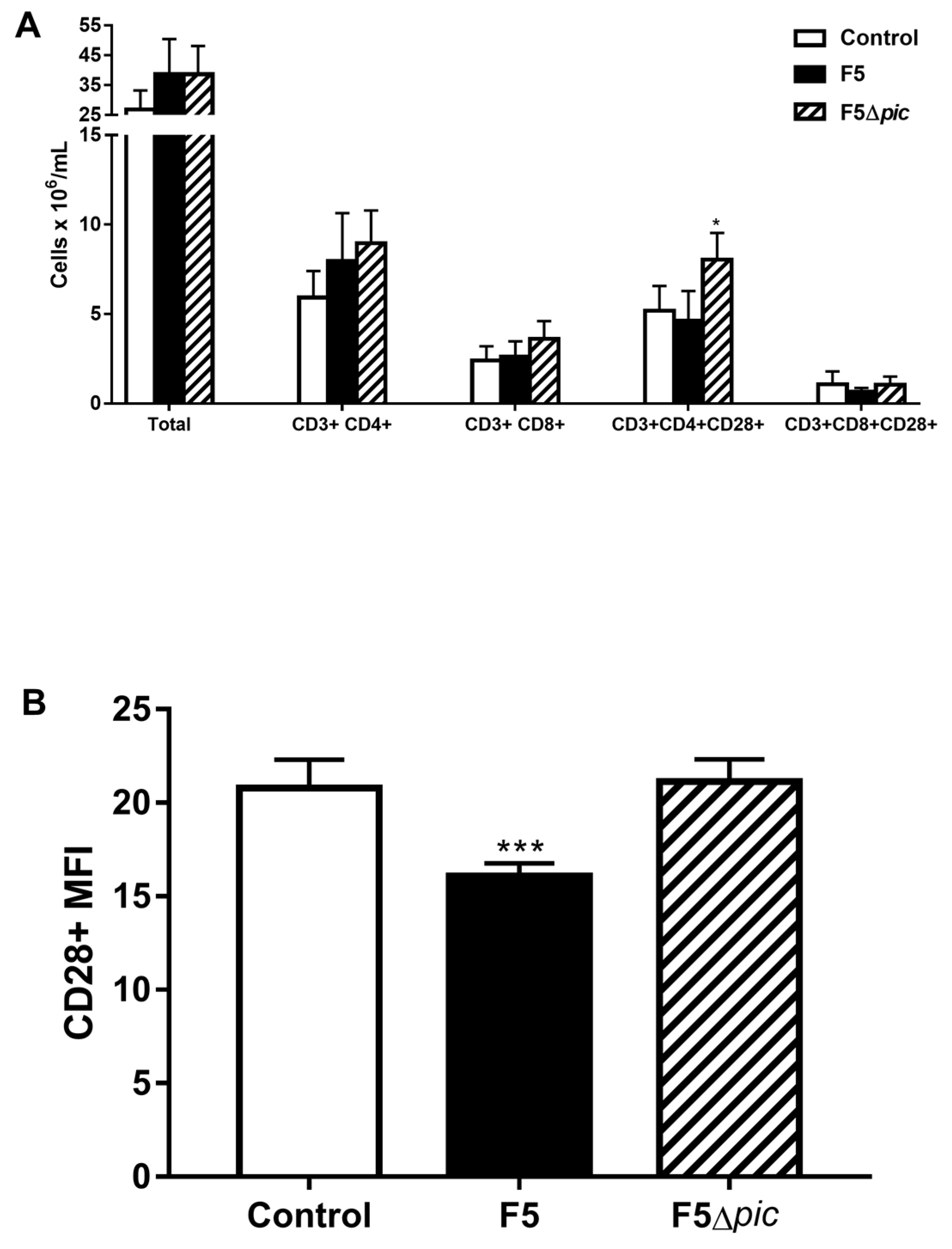 Ijms 21 02068 g006 Ijms 21 02068 g006